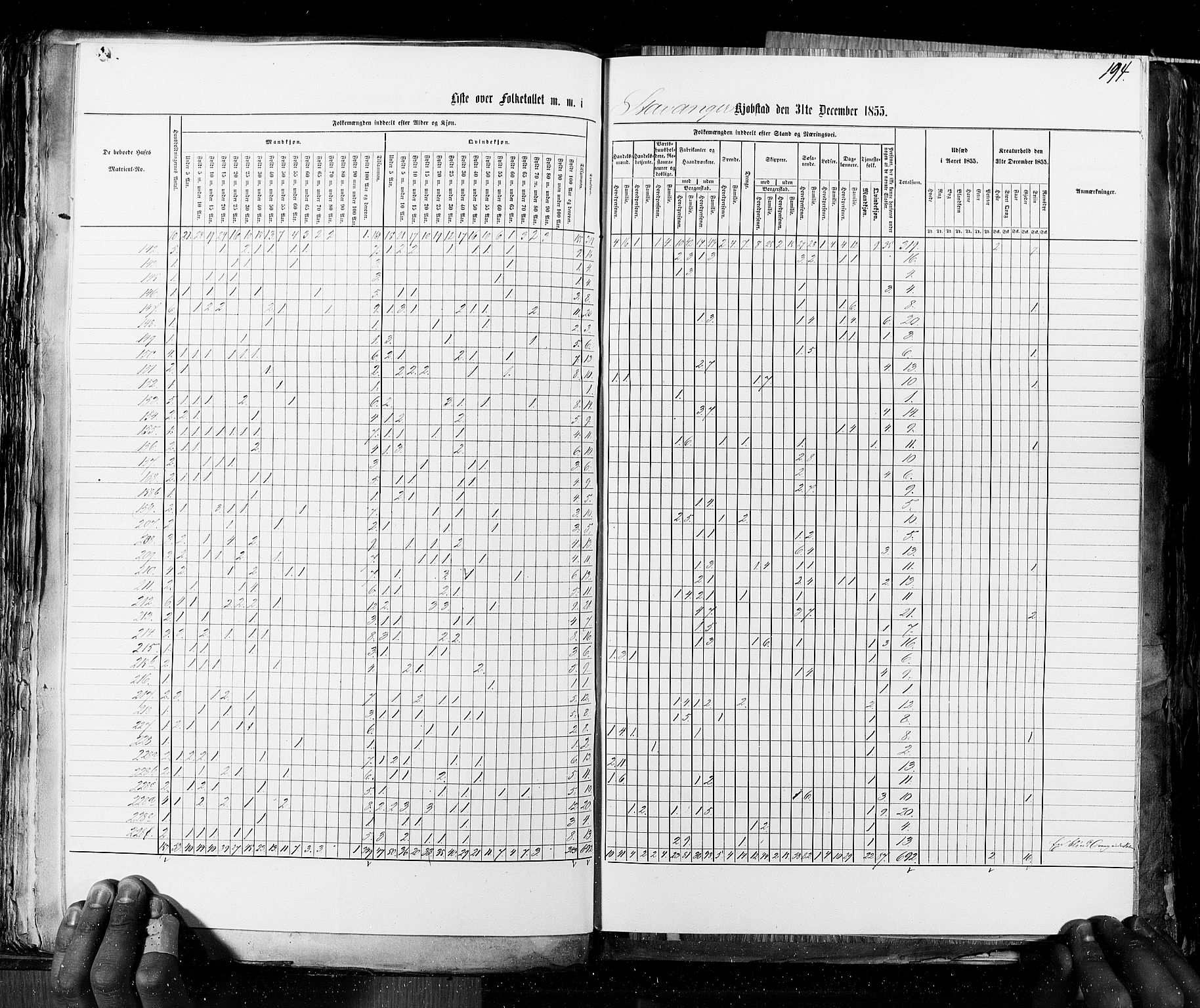 RA, Census 1855, vol. 8: Risør-Vadsø, 1855, p. 194