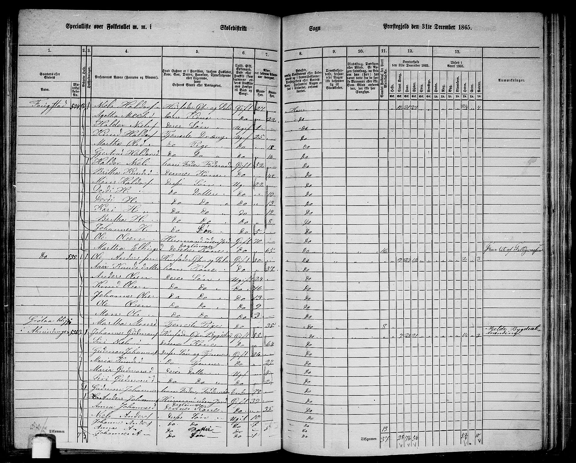 RA, 1865 census for Haus, 1865, p. 210