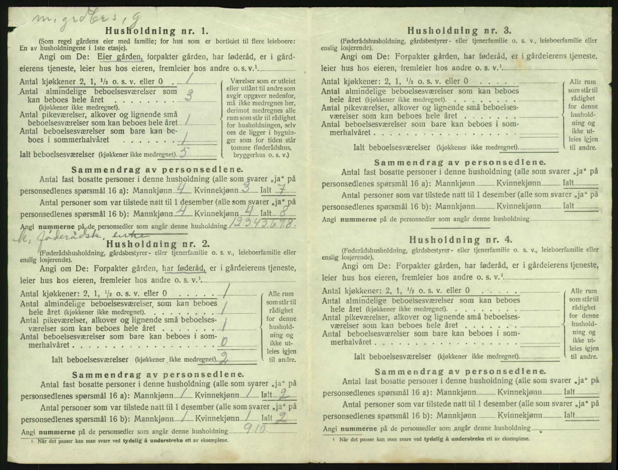 SAH, 1920 census for Heidal, 1920, p. 29