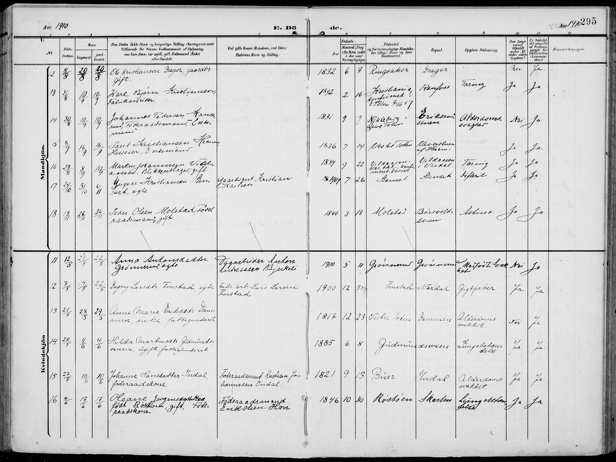 Vestre Toten prestekontor, SAH/PREST-108/H/Ha/Haa/L0014: Parish register (official) no. 14, 1907-1920, p. 295
