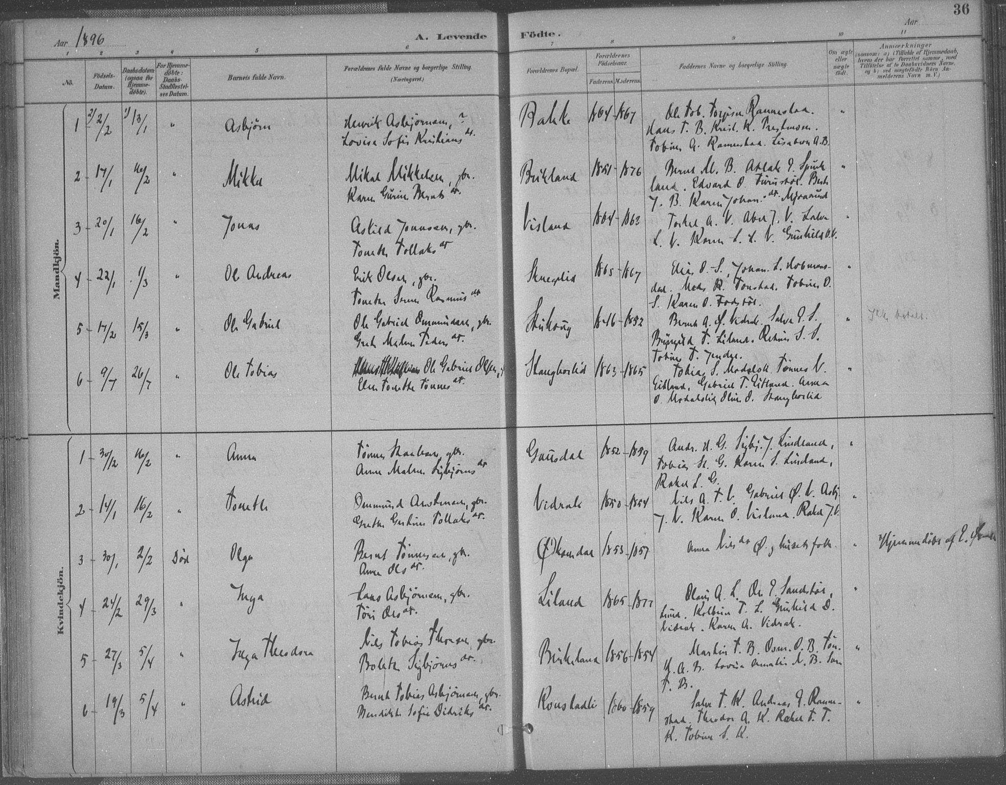 Bakke sokneprestkontor, AV/SAK-1111-0002/F/Fa/Faa/L0008: Parish register (official) no. A 8, 1887-1911, p. 36