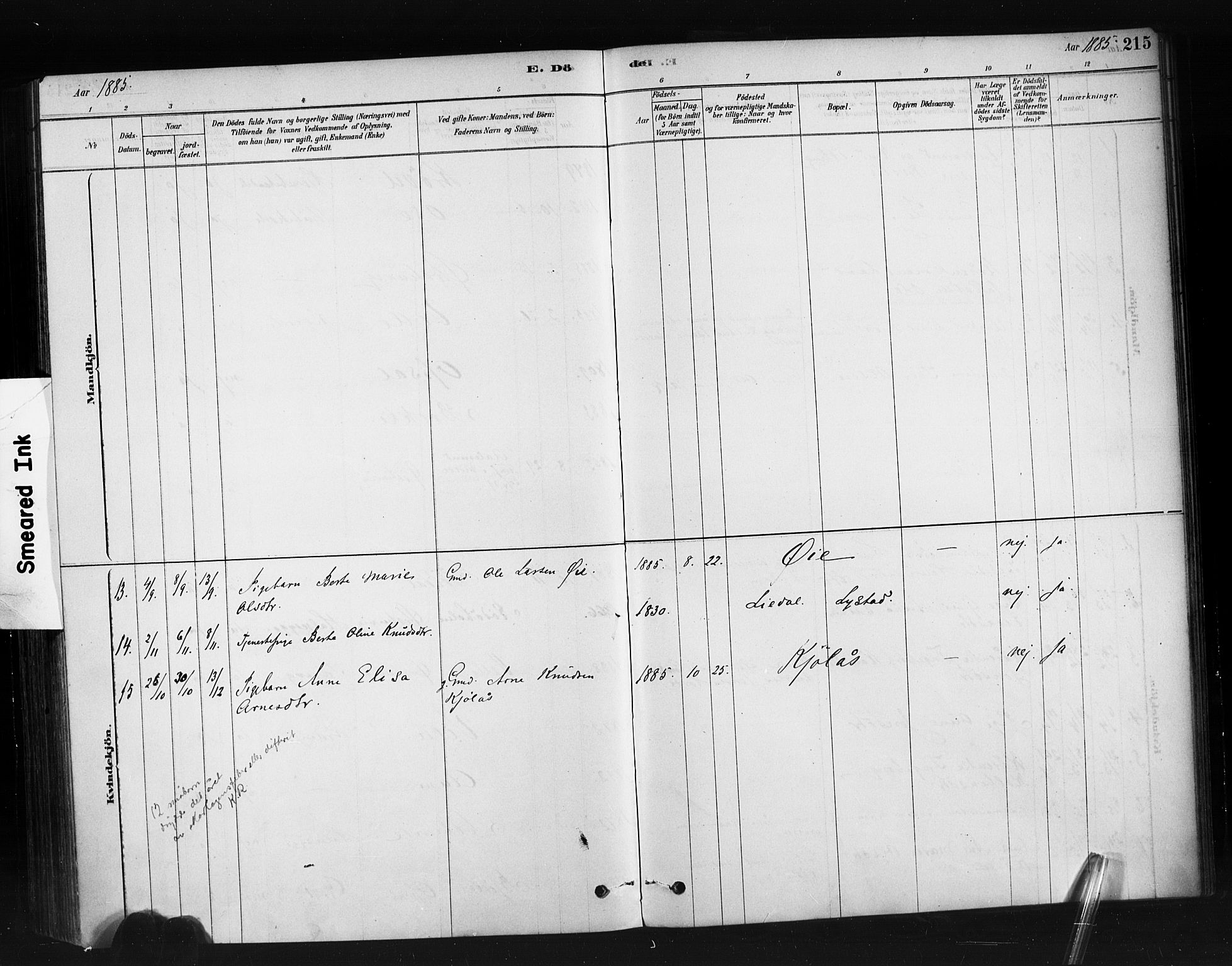 Ministerialprotokoller, klokkerbøker og fødselsregistre - Møre og Romsdal, SAT/A-1454/513/L0176: Parish register (official) no. 513A03, 1877-1889, p. 215