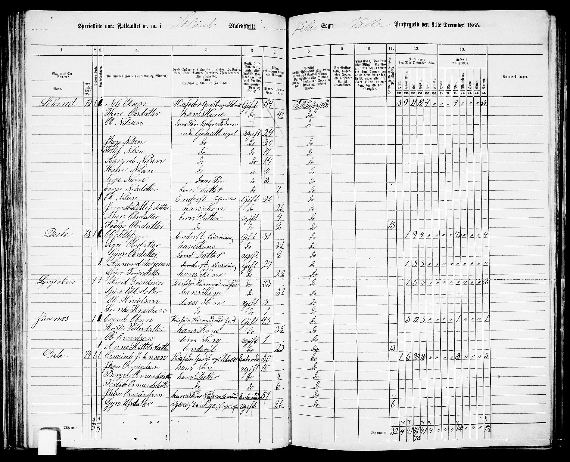 RA, 1865 census for Valle, 1865, p. 70
