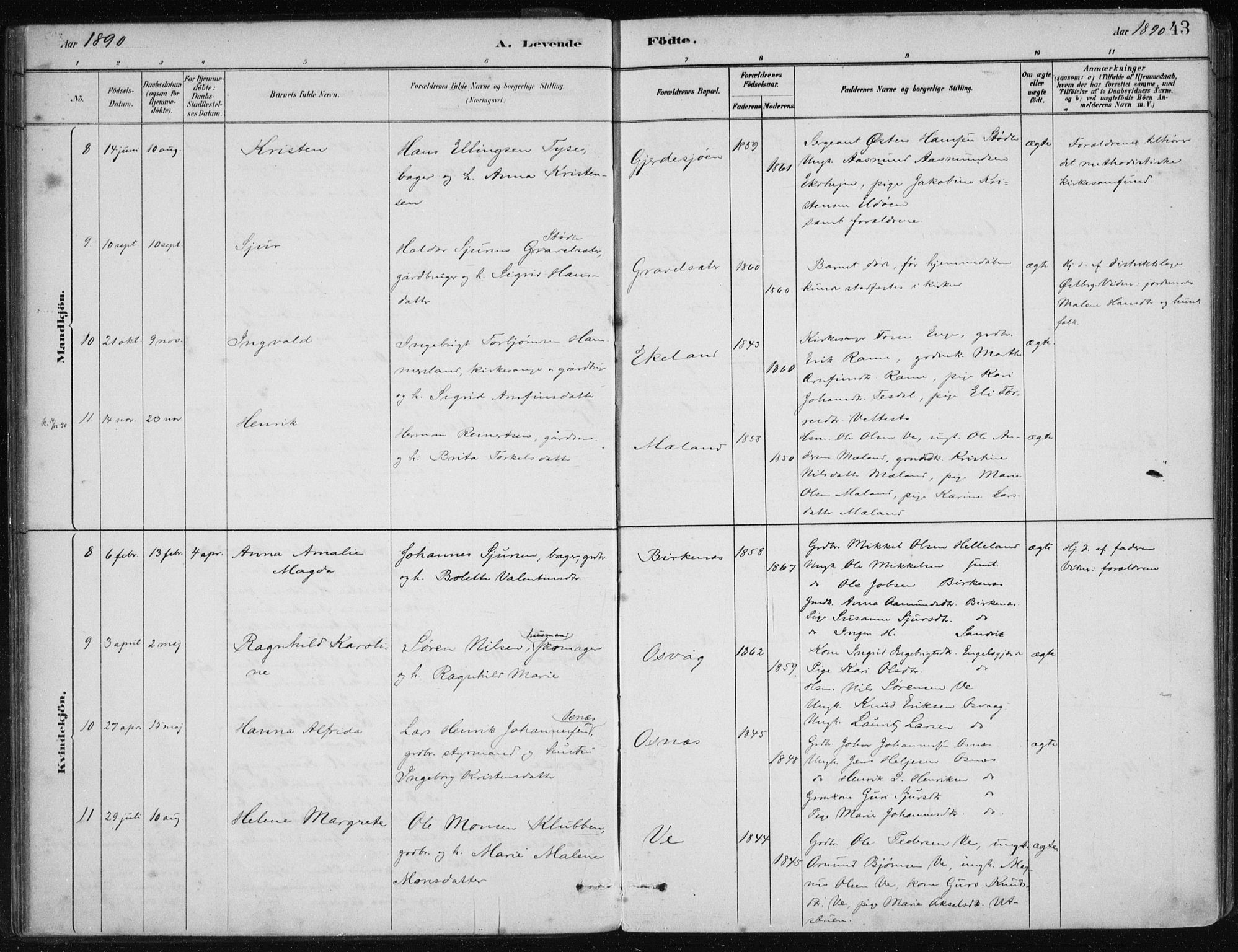 Etne sokneprestembete, AV/SAB-A-75001/H/Haa: Parish register (official) no. C  1, 1879-1919, p. 43