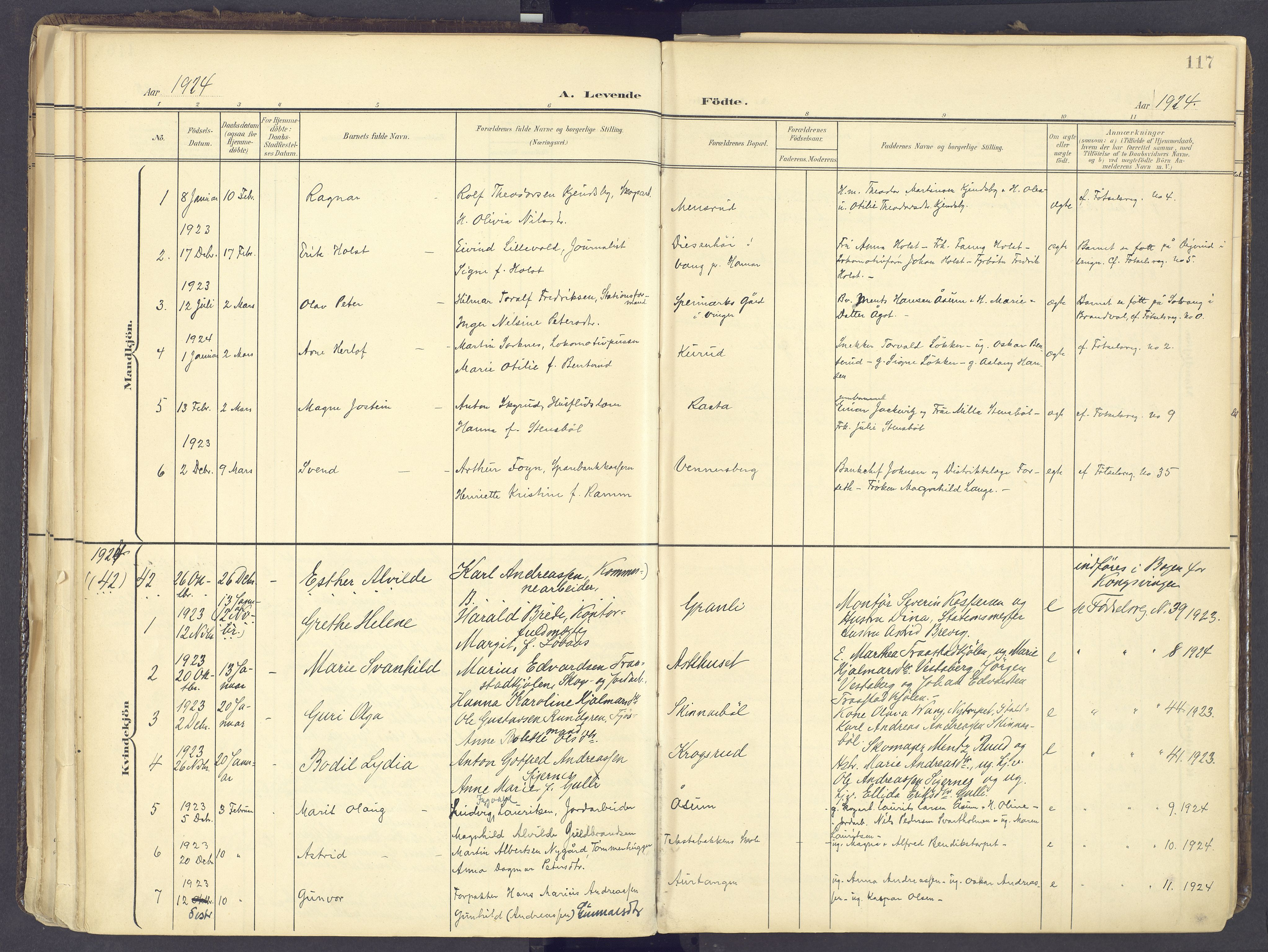 Vinger prestekontor, AV/SAH-PREST-024/H/Ha/Haa/L0017: Parish register (official) no. 17, 1901-1927, p. 117