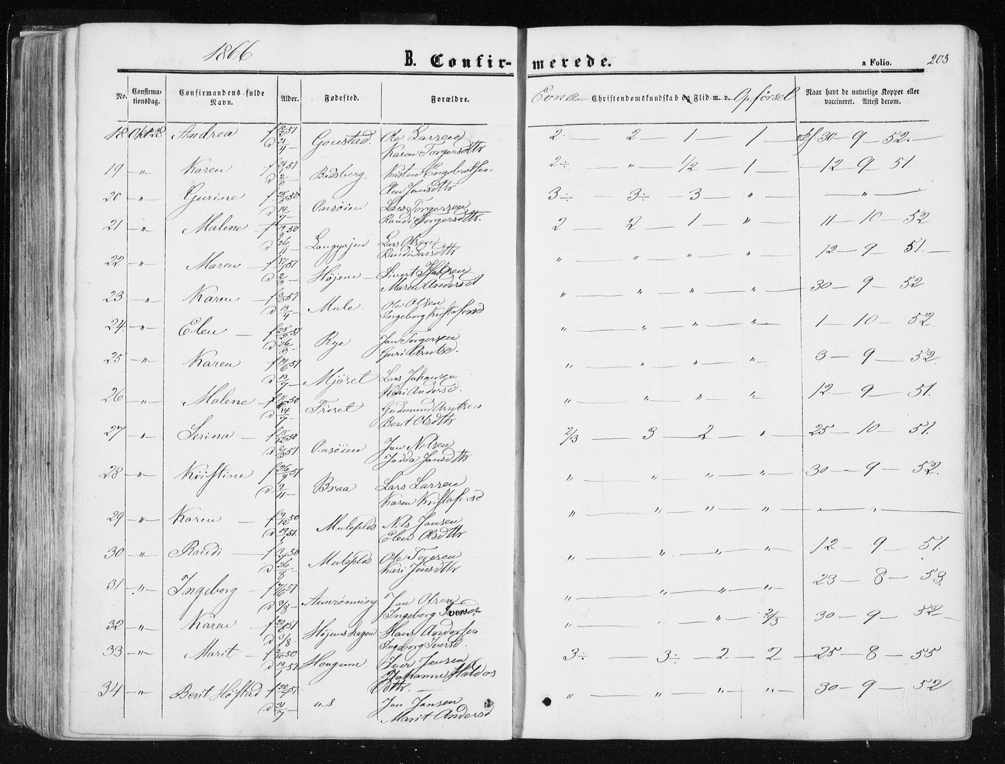 Ministerialprotokoller, klokkerbøker og fødselsregistre - Sør-Trøndelag, SAT/A-1456/612/L0377: Parish register (official) no. 612A09, 1859-1877, p. 203
