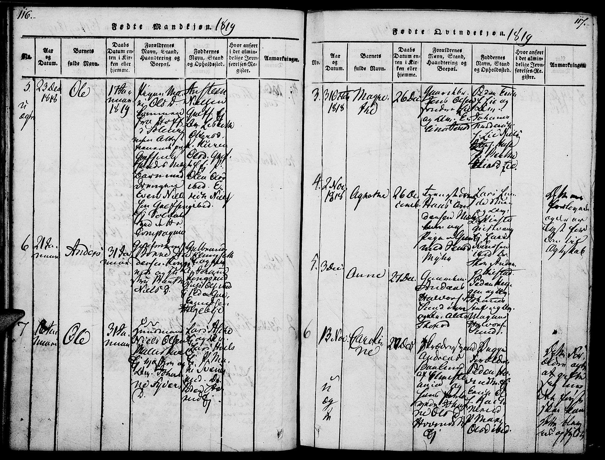 Nes prestekontor, Hedmark, SAH/PREST-020/K/Ka/L0002: Parish register (official) no. 2, 1813-1827, p. 116-117