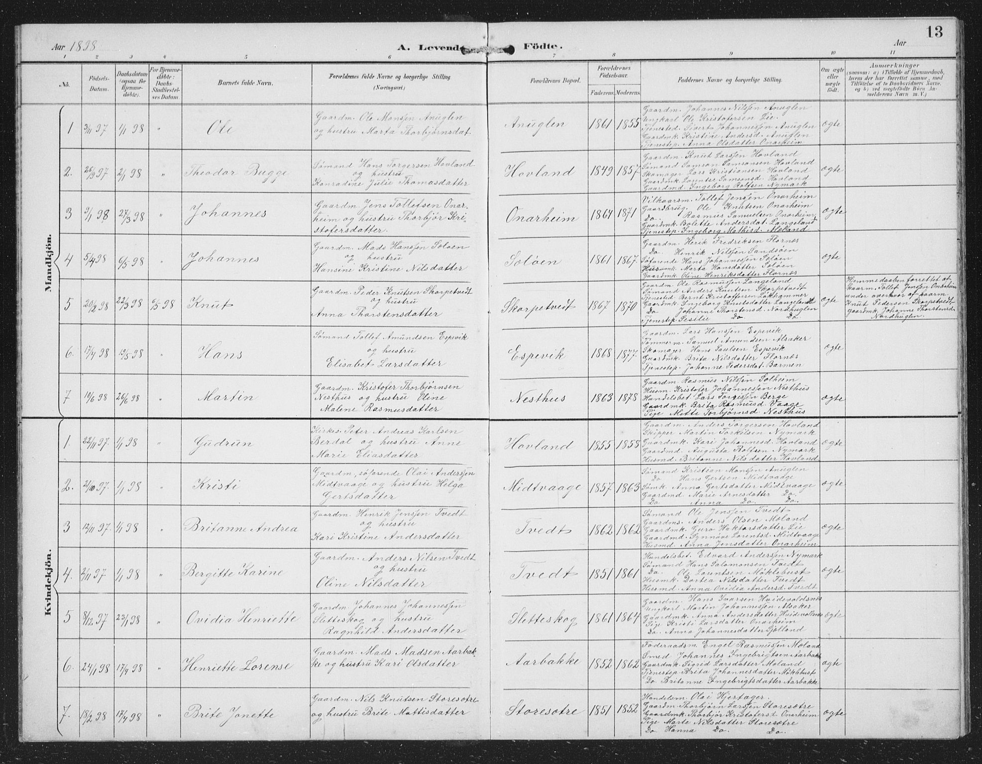 Tysnes sokneprestembete, SAB/A-78601/H/Hab: Parish register (copy) no. C 2, 1896-1907, p. 13