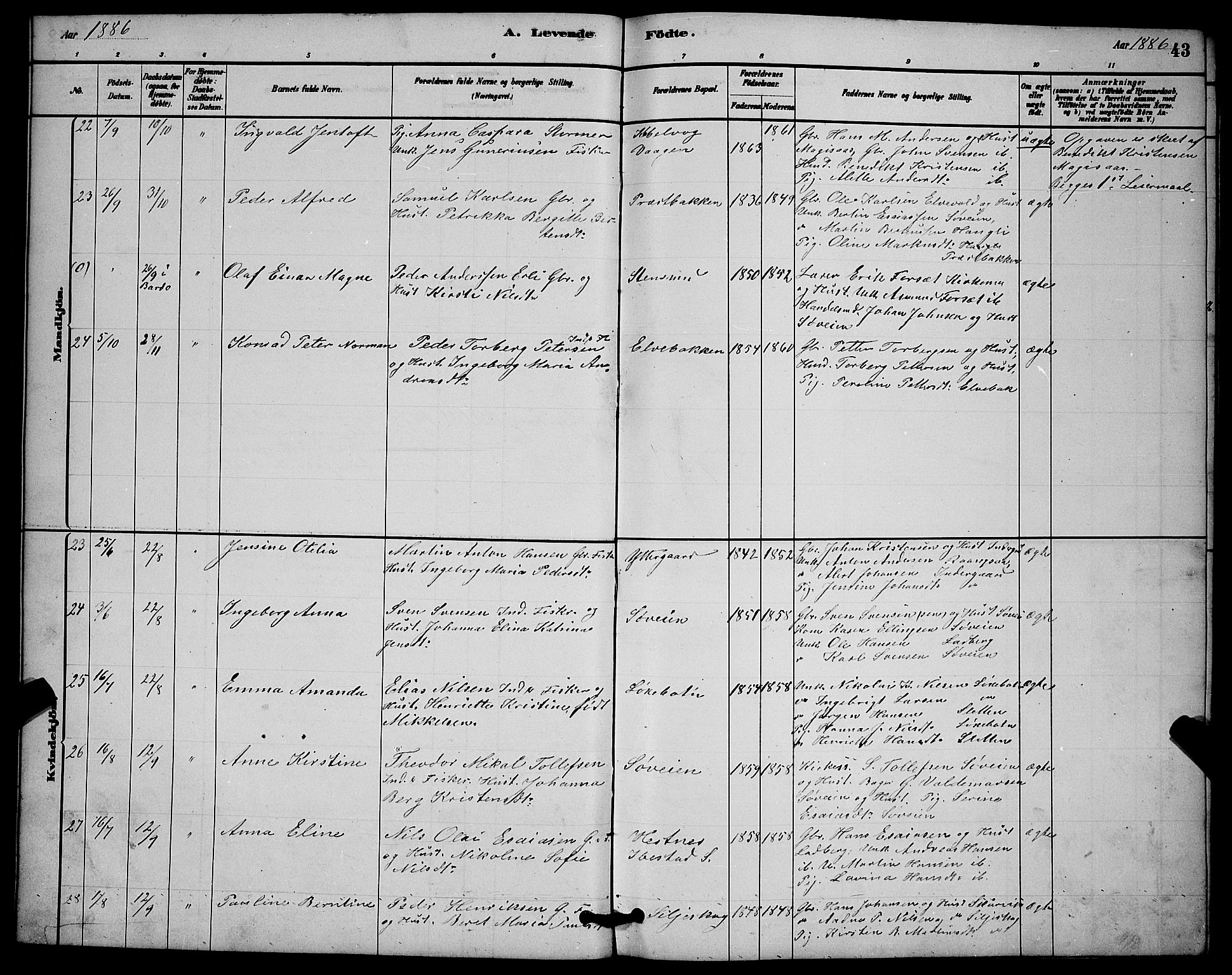 Ibestad sokneprestembete, AV/SATØ-S-0077/H/Ha/Hab/L0014klokker: Parish register (copy) no. 14, 1880-1887, p. 43