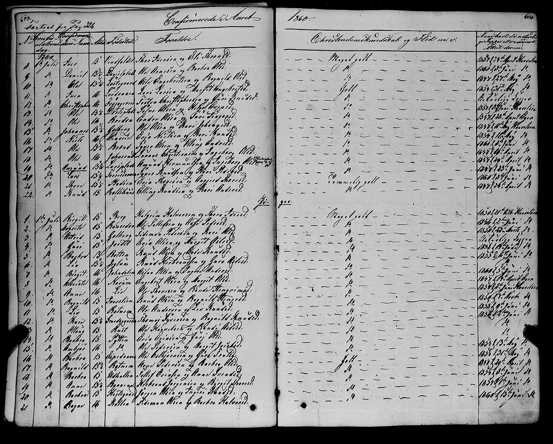 Gol kirkebøker, AV/SAKO-A-226/F/Fa/L0002: Parish register (official) no. I 2, 1837-1863, p. 603-604