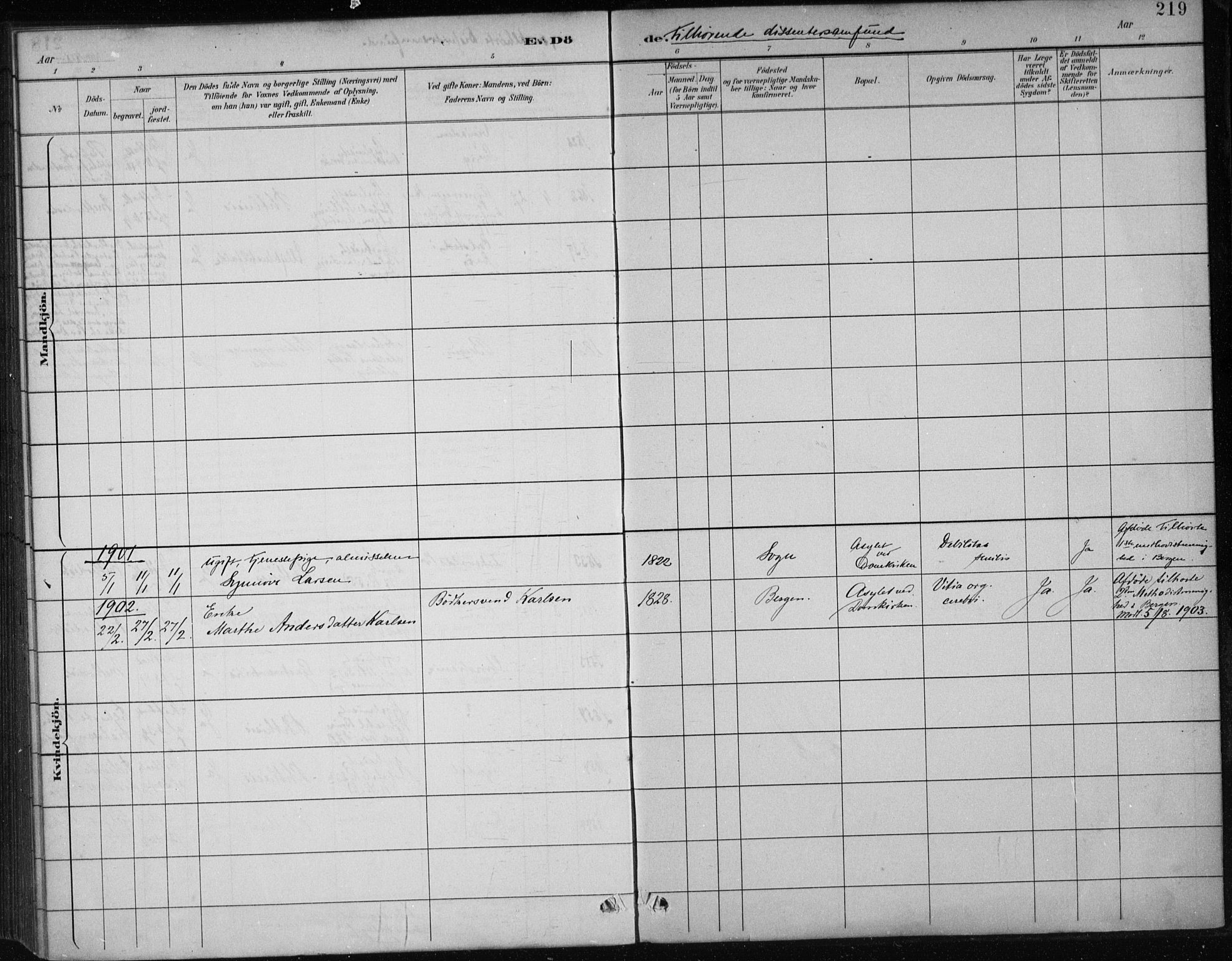 Bergen kommunale pleiehjem - stiftelsespresten, AV/SAB-A-100281: Parish register (official) no. A 5, 1887-1908, p. 219