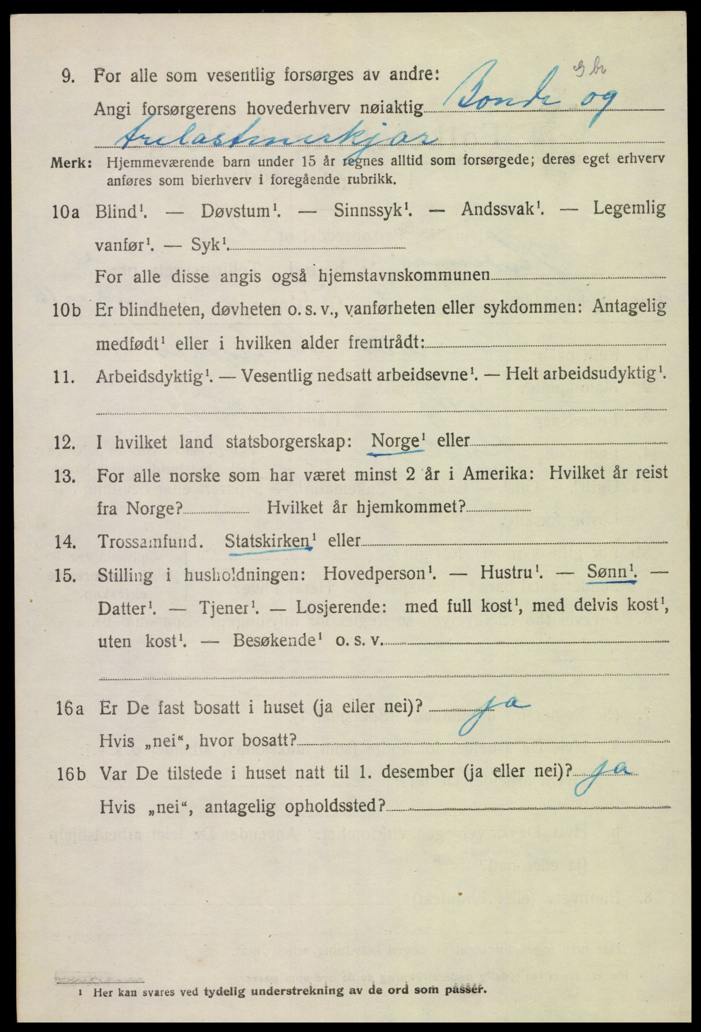 SAK, 1920 census for Hornnes, 1920, p. 1308