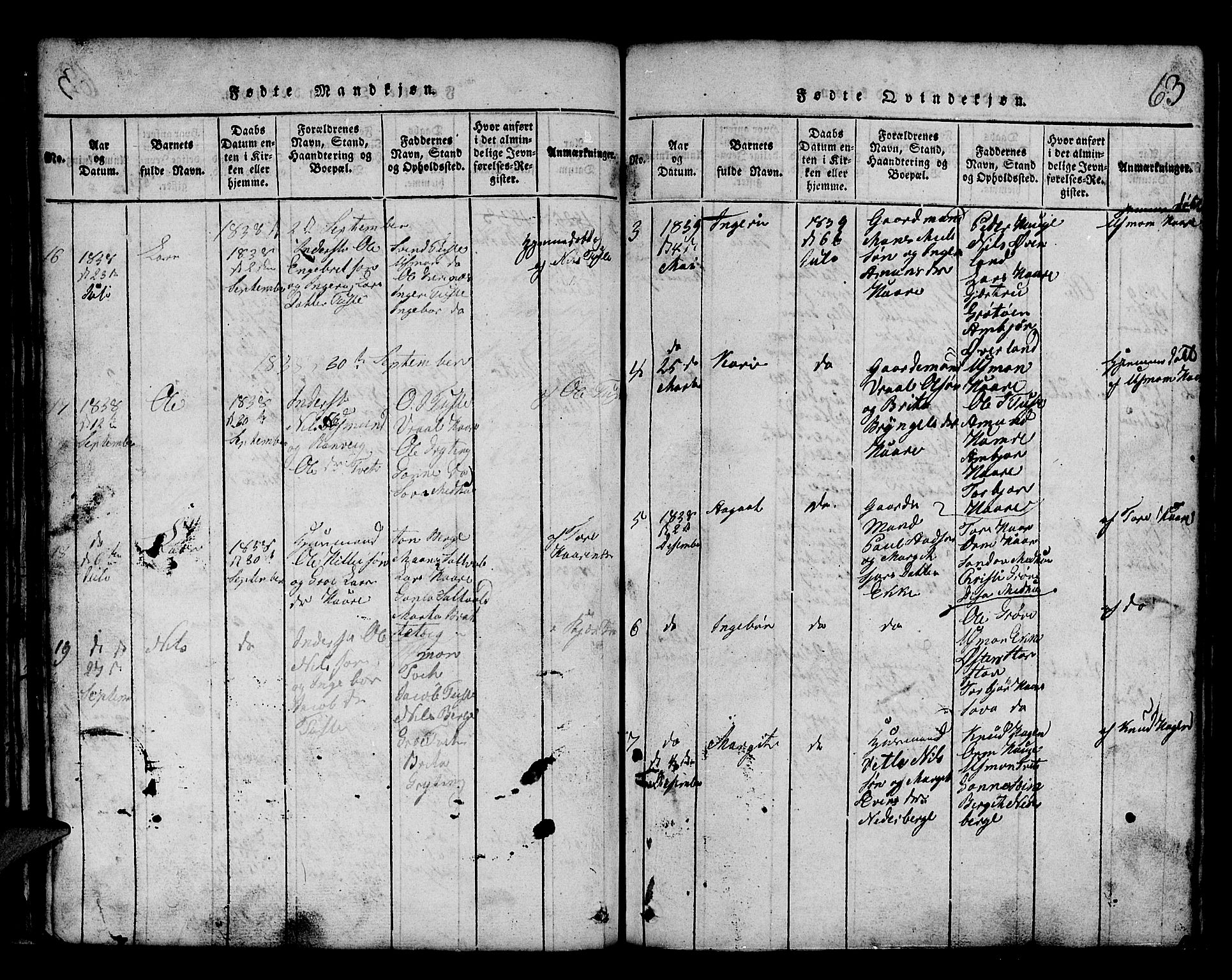 Røldal sokneprestembete, SAB/A-100247: Parish register (copy) no. A 1, 1817-1860, p. 63