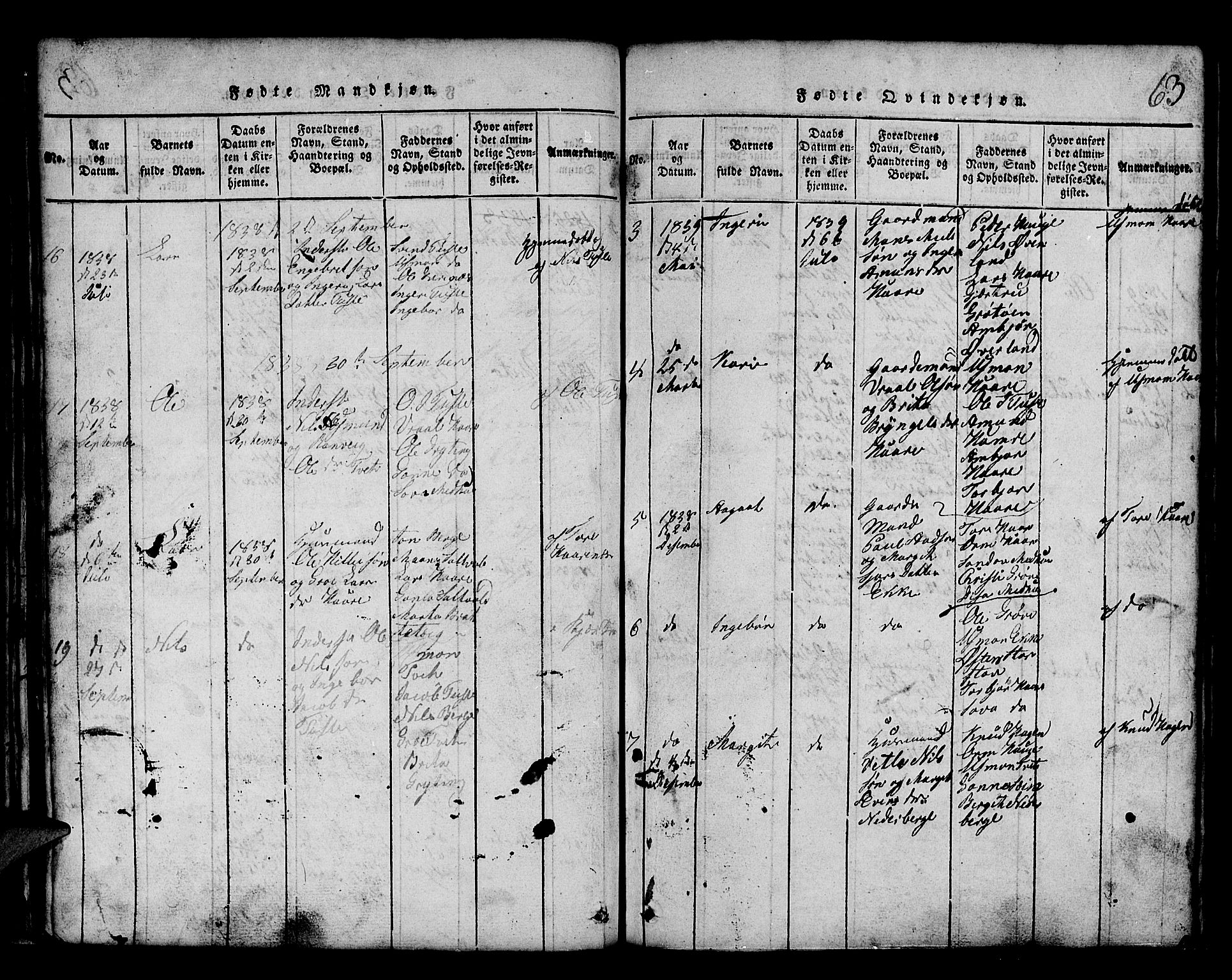 Røldal sokneprestembete, AV/SAB-A-100247: Parish register (copy) no. A 1, 1817-1860, p. 63