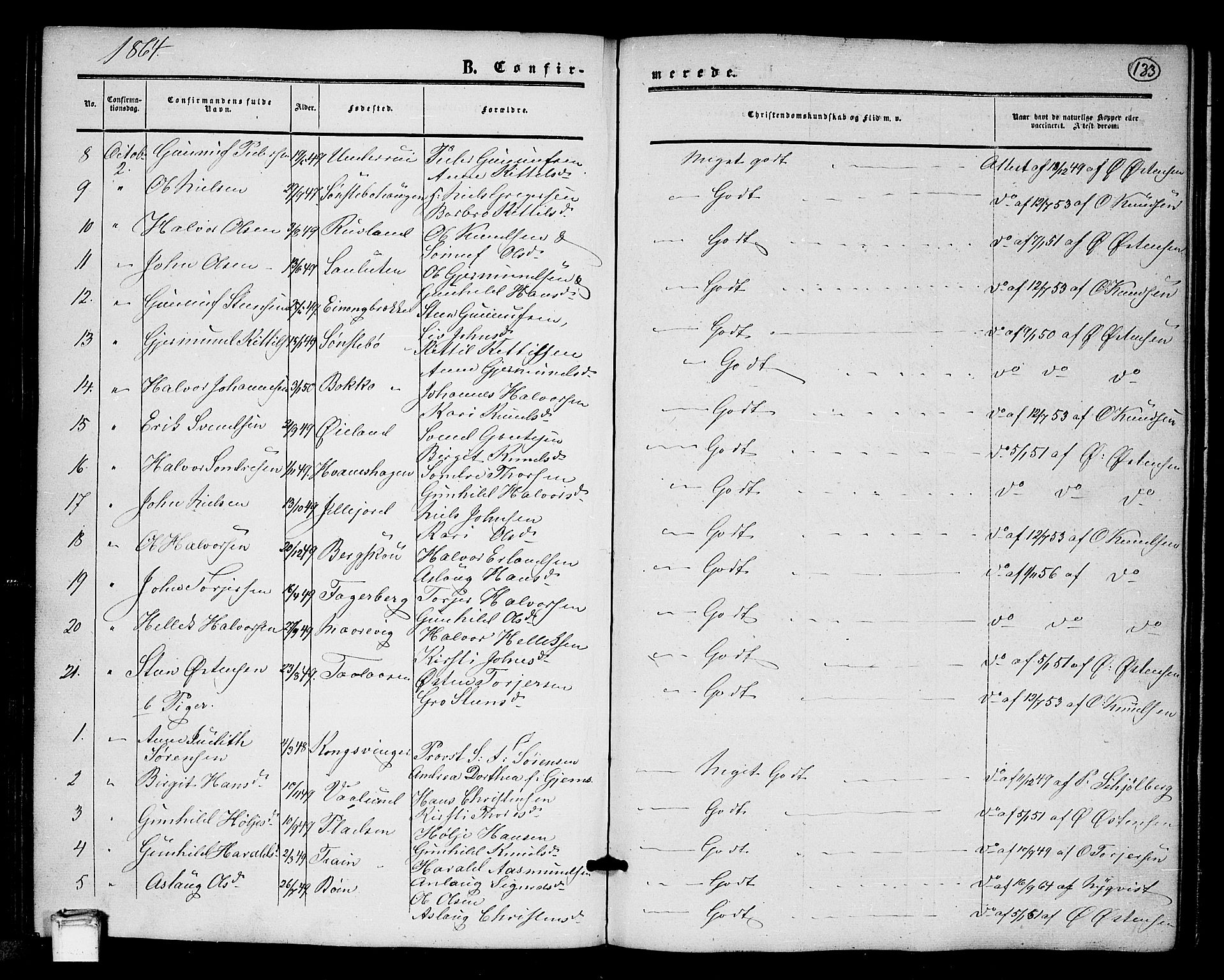 Tinn kirkebøker, SAKO/A-308/G/Ga/L0002: Parish register (copy) no. I 2, 1851-1883, p. 133