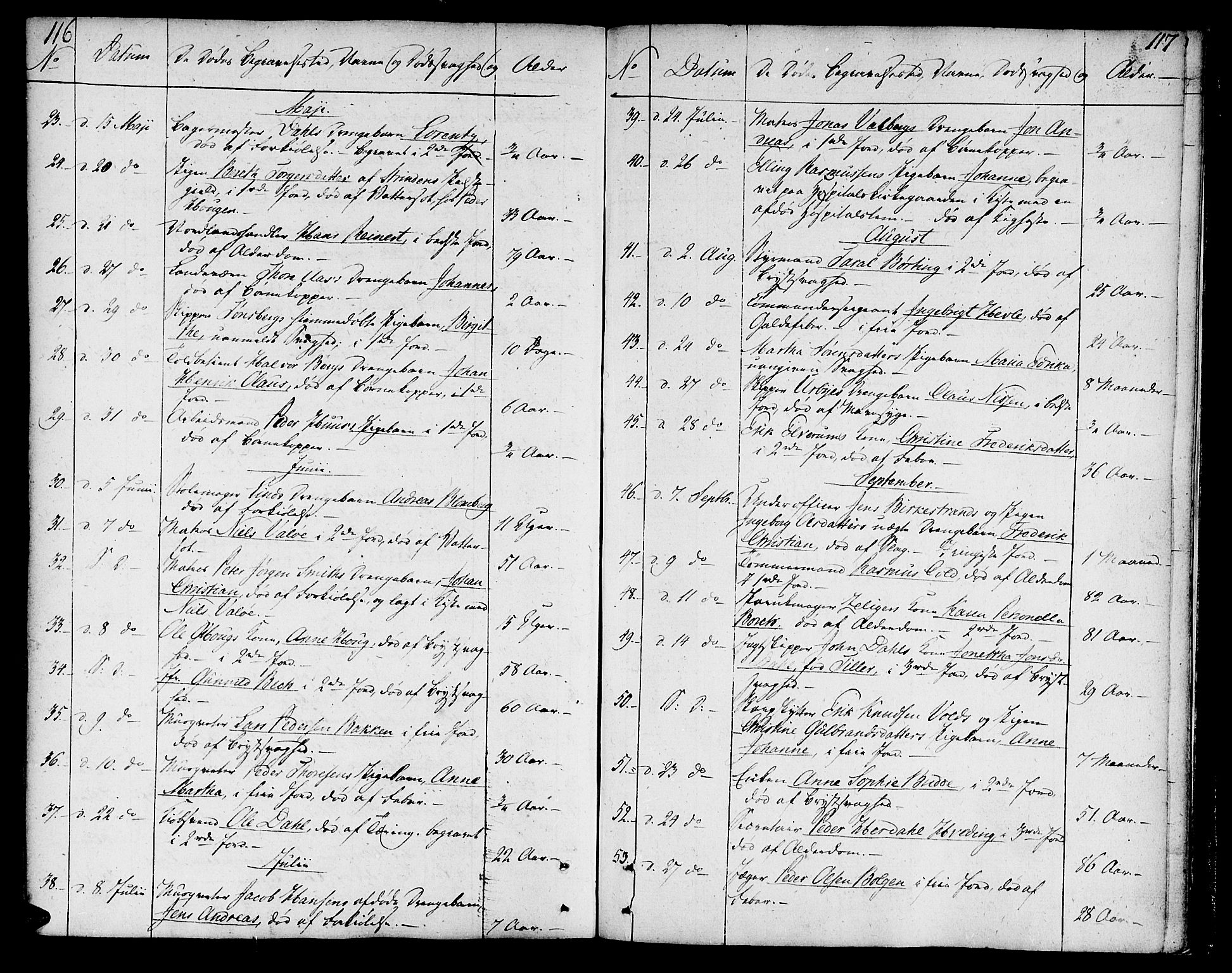 Ministerialprotokoller, klokkerbøker og fødselsregistre - Sør-Trøndelag, AV/SAT-A-1456/602/L0106: Parish register (official) no. 602A04, 1774-1814, p. 116-117