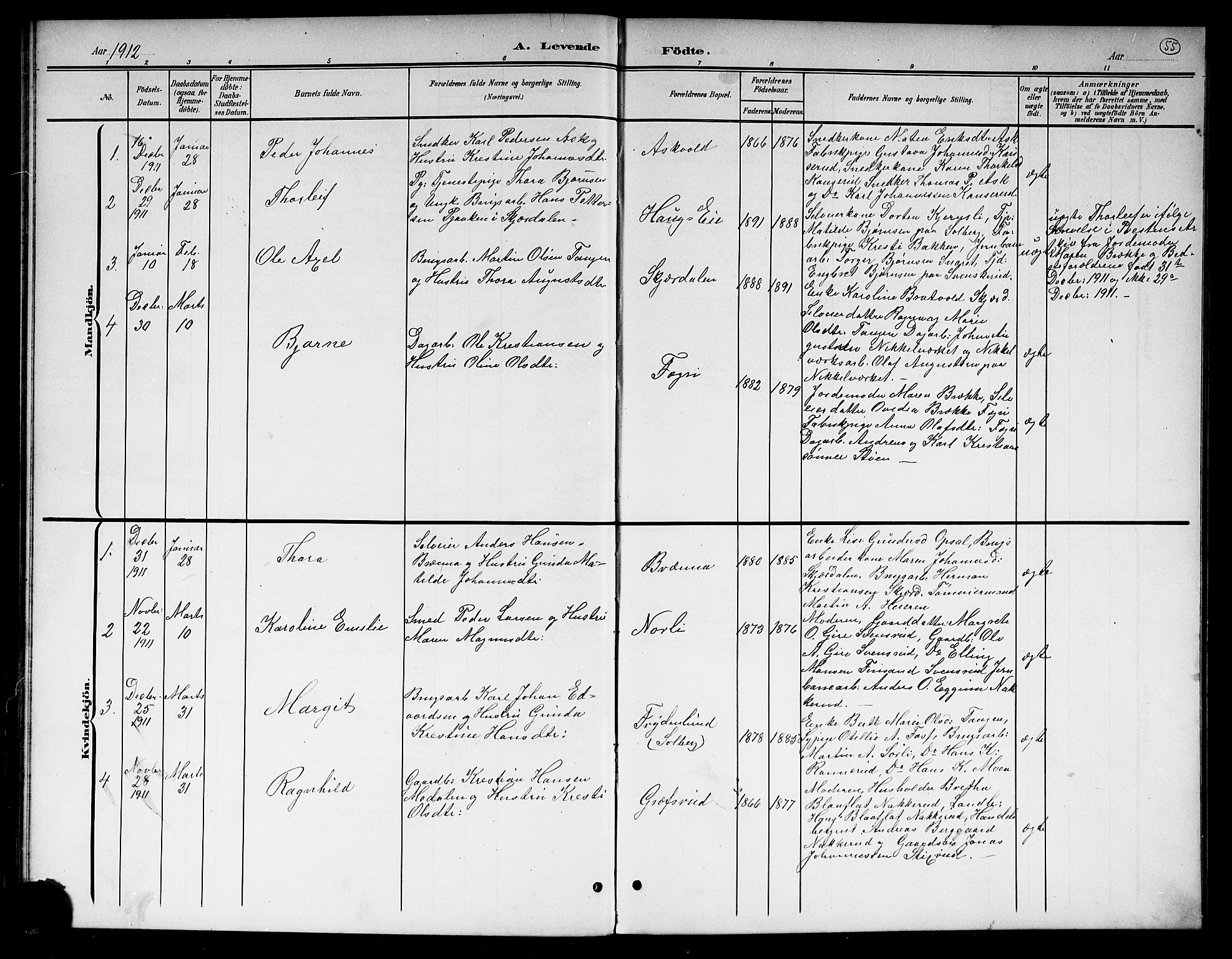 Hole kirkebøker, SAKO/A-228/G/Gb/L0004: Parish register (copy) no. II 4, 1901-1916, p. 55