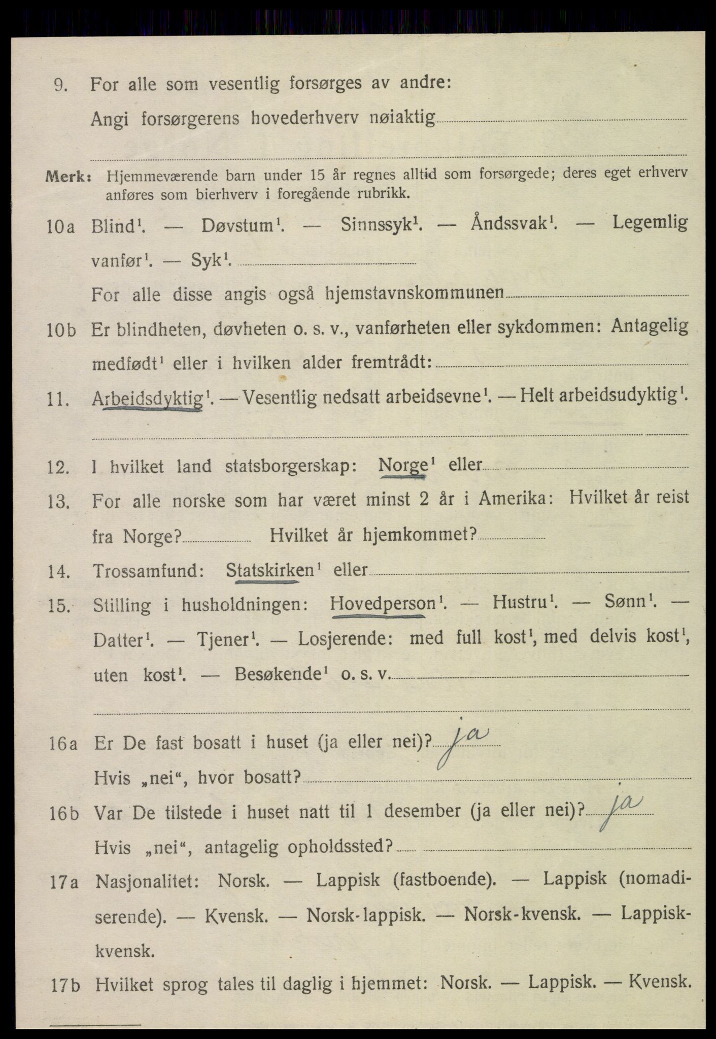 SAT, 1920 census for Meråker, 1920, p. 4523