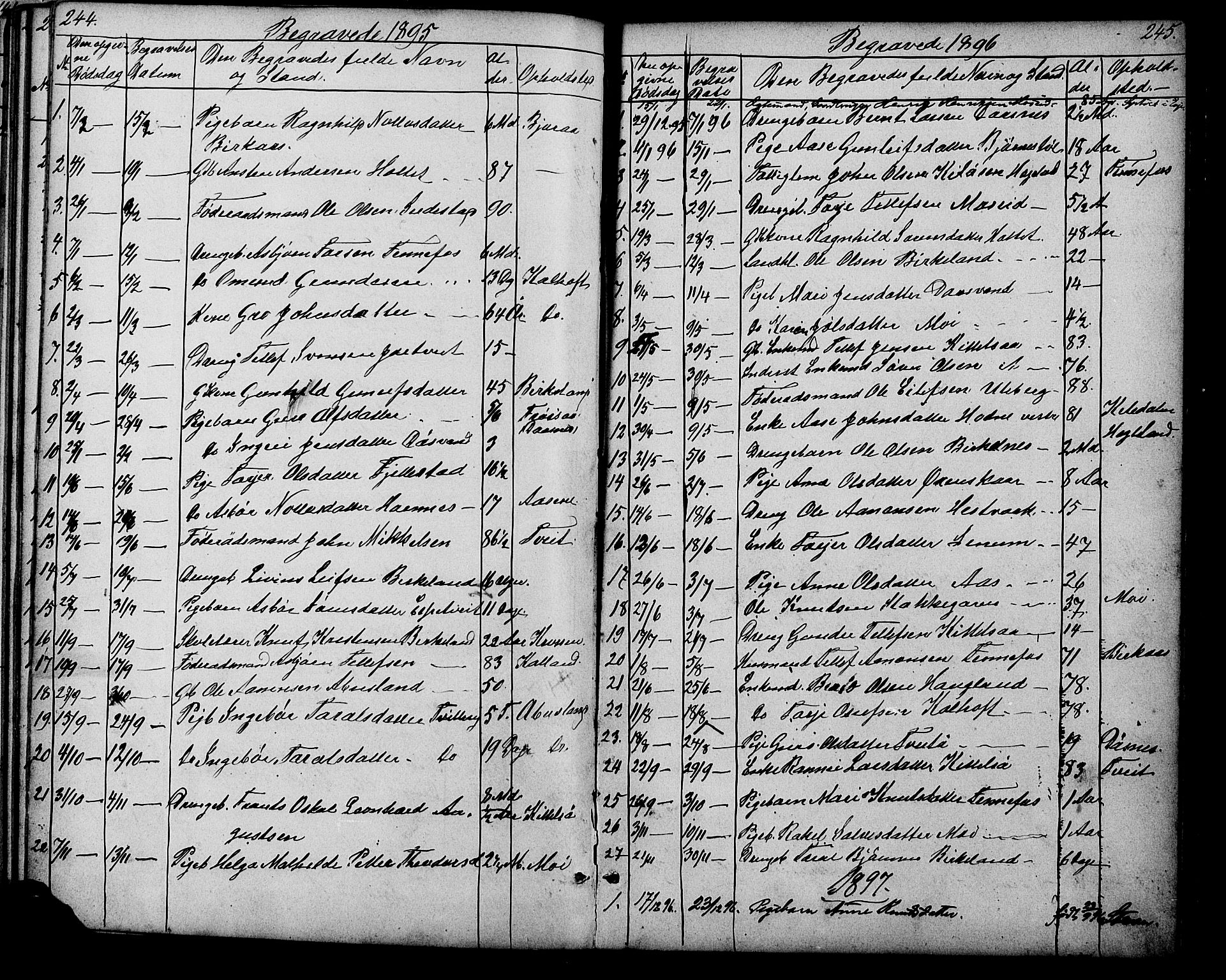 Evje sokneprestkontor, SAK/1111-0008/F/Fb/Fbb/L0002: Parish register (copy) no. B 2, 1879-1909, p. 244-245