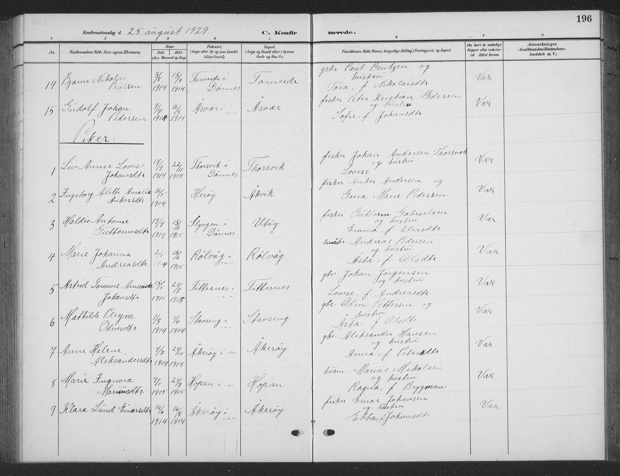 Ministerialprotokoller, klokkerbøker og fødselsregistre - Nordland, AV/SAT-A-1459/835/L0533: Parish register (copy) no. 835C05, 1906-1939, p. 196