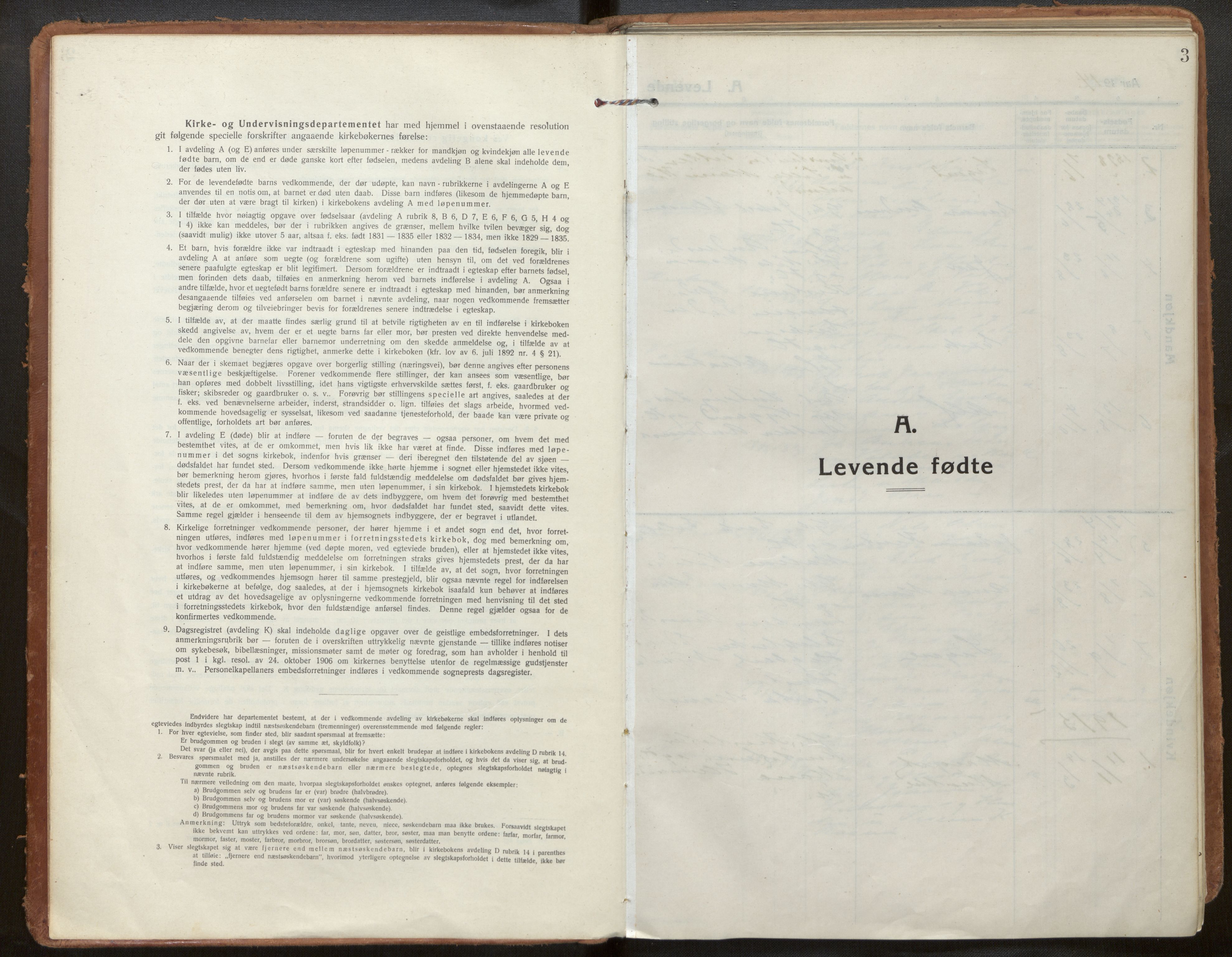 Hafslo sokneprestembete, SAB/A-80301/H/Haa/Haac/L0002: Parish register (official) no. C 2, 1914-1955, p. 3