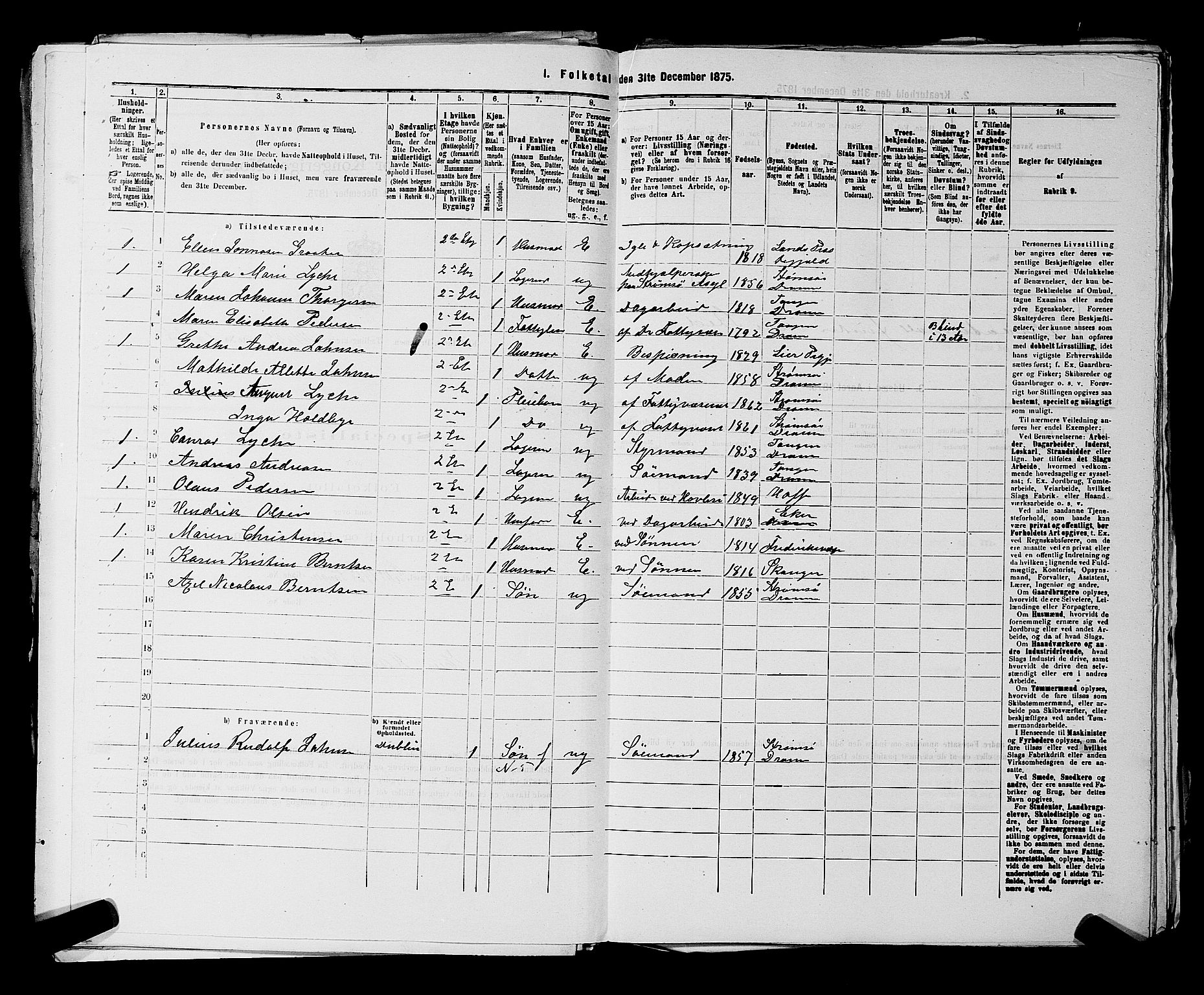 SAKO, 1875 census for 0602 Drammen, 1875, p. 3622