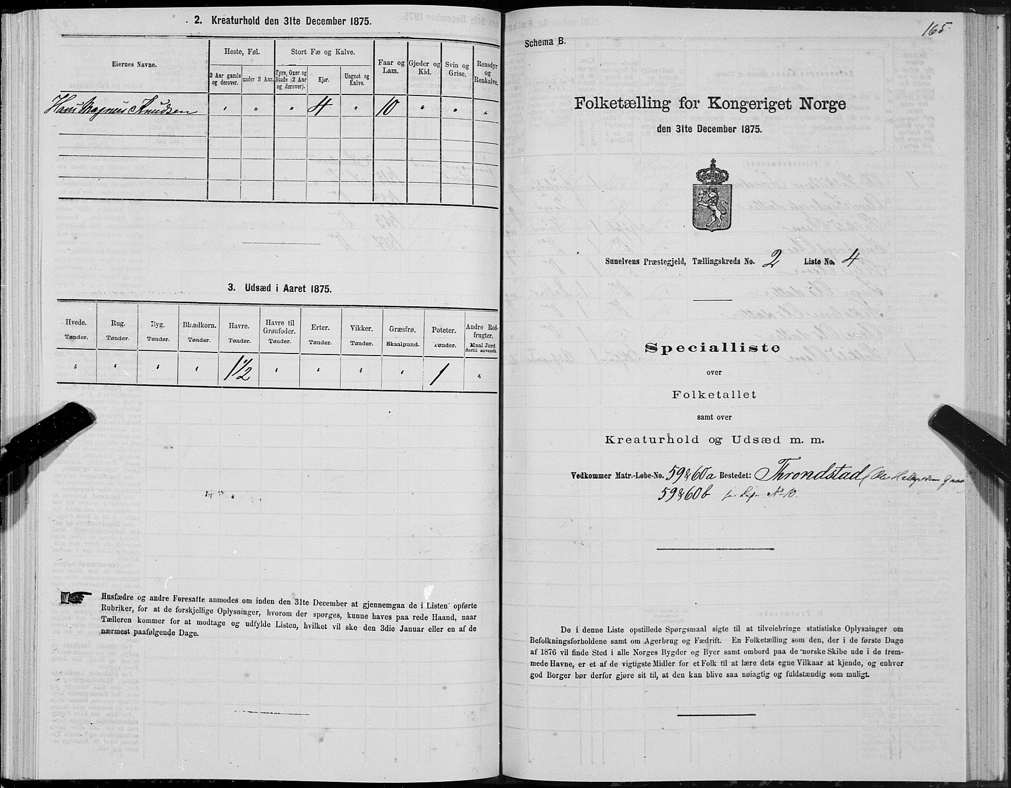 SAT, 1875 census for 1523P Sunnylven, 1875, p. 1165