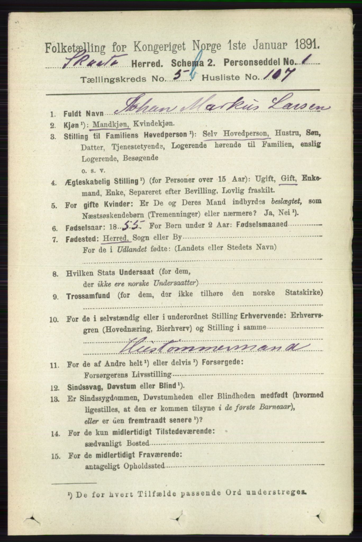 RA, 1891 census for 0815 Skåtøy, 1891, p. 2590