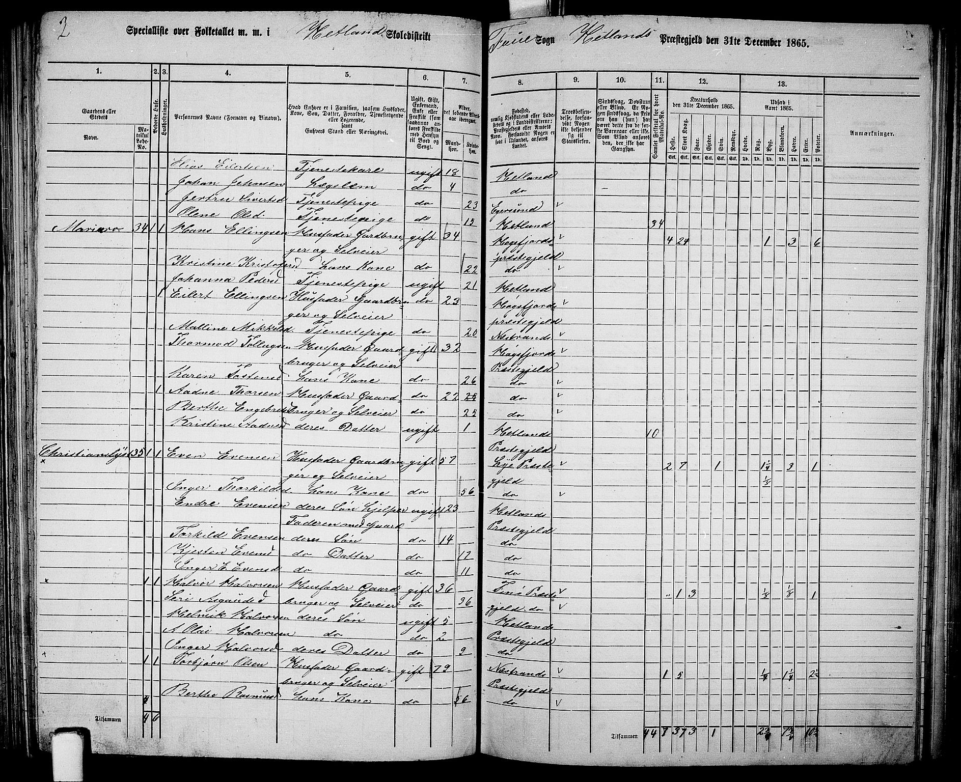 RA, 1865 census for Hetland, 1865, p. 116