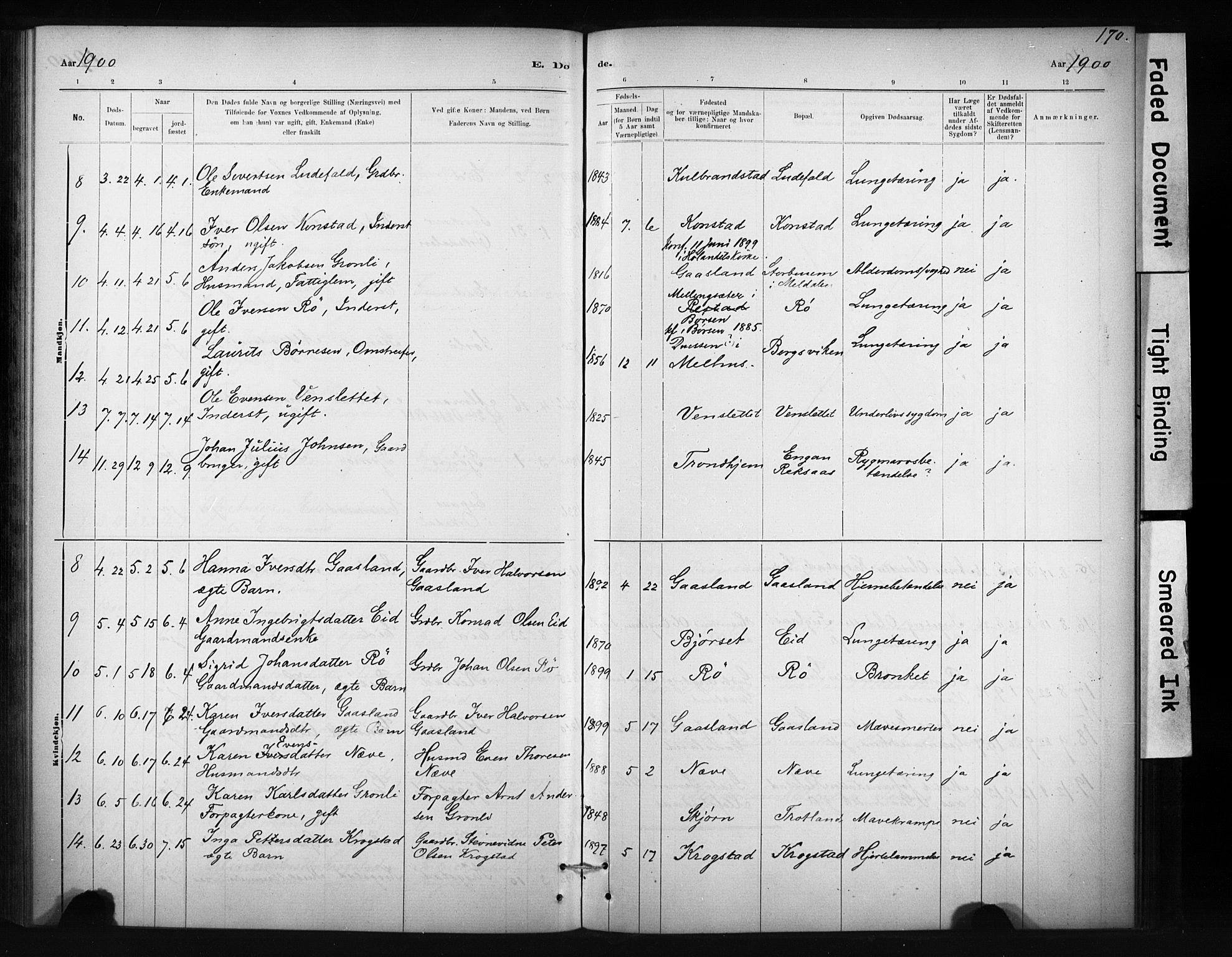 Ministerialprotokoller, klokkerbøker og fødselsregistre - Sør-Trøndelag, SAT/A-1456/694/L1127: Parish register (official) no. 694A01, 1887-1905, p. 170