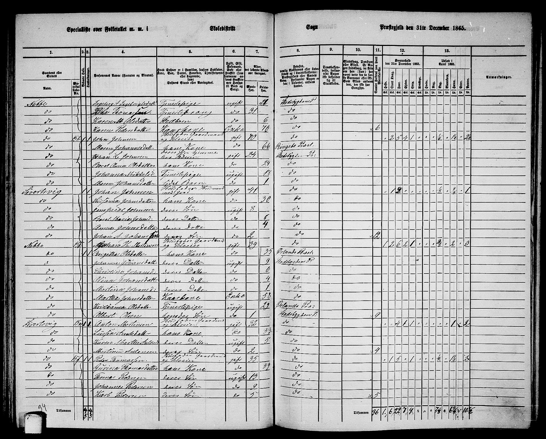 RA, 1865 census for Stadsbygd, 1865, p. 88