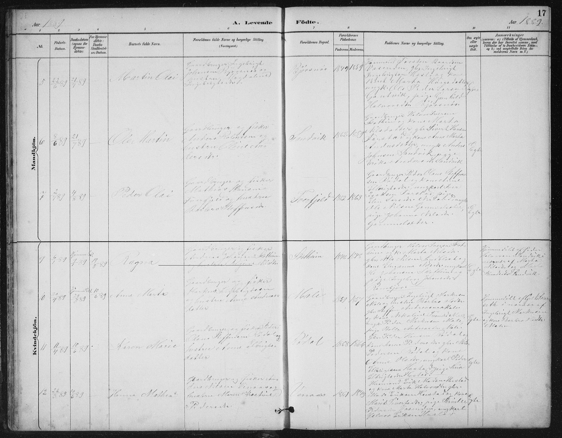 Ministerialprotokoller, klokkerbøker og fødselsregistre - Møre og Romsdal, SAT/A-1454/567/L0783: Parish register (copy) no. 567C03, 1887-1903, p. 17