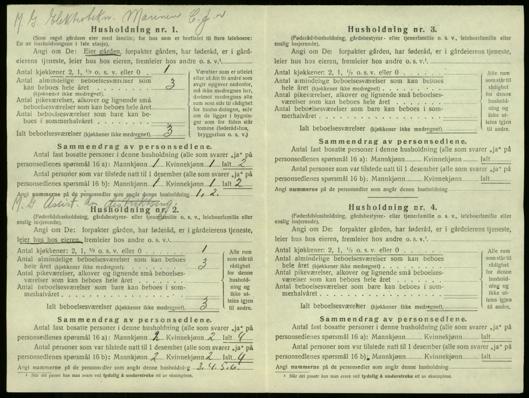 SAKO, 1920 census for Borre, 1920, p. 43