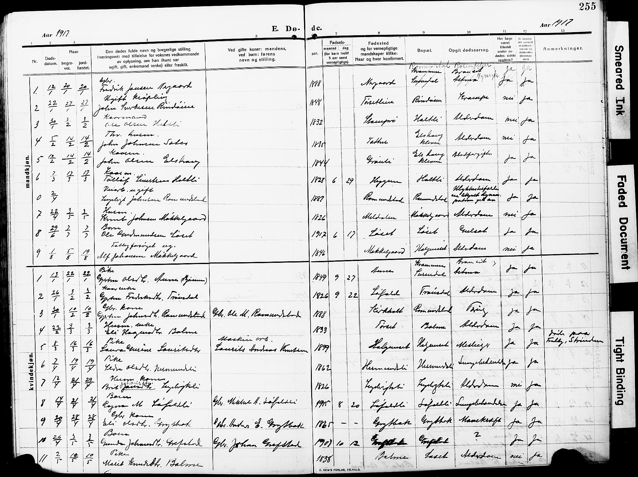 Ministerialprotokoller, klokkerbøker og fødselsregistre - Møre og Romsdal, SAT/A-1454/598/L1079: Parish register (copy) no. 598C04, 1909-1927, p. 255