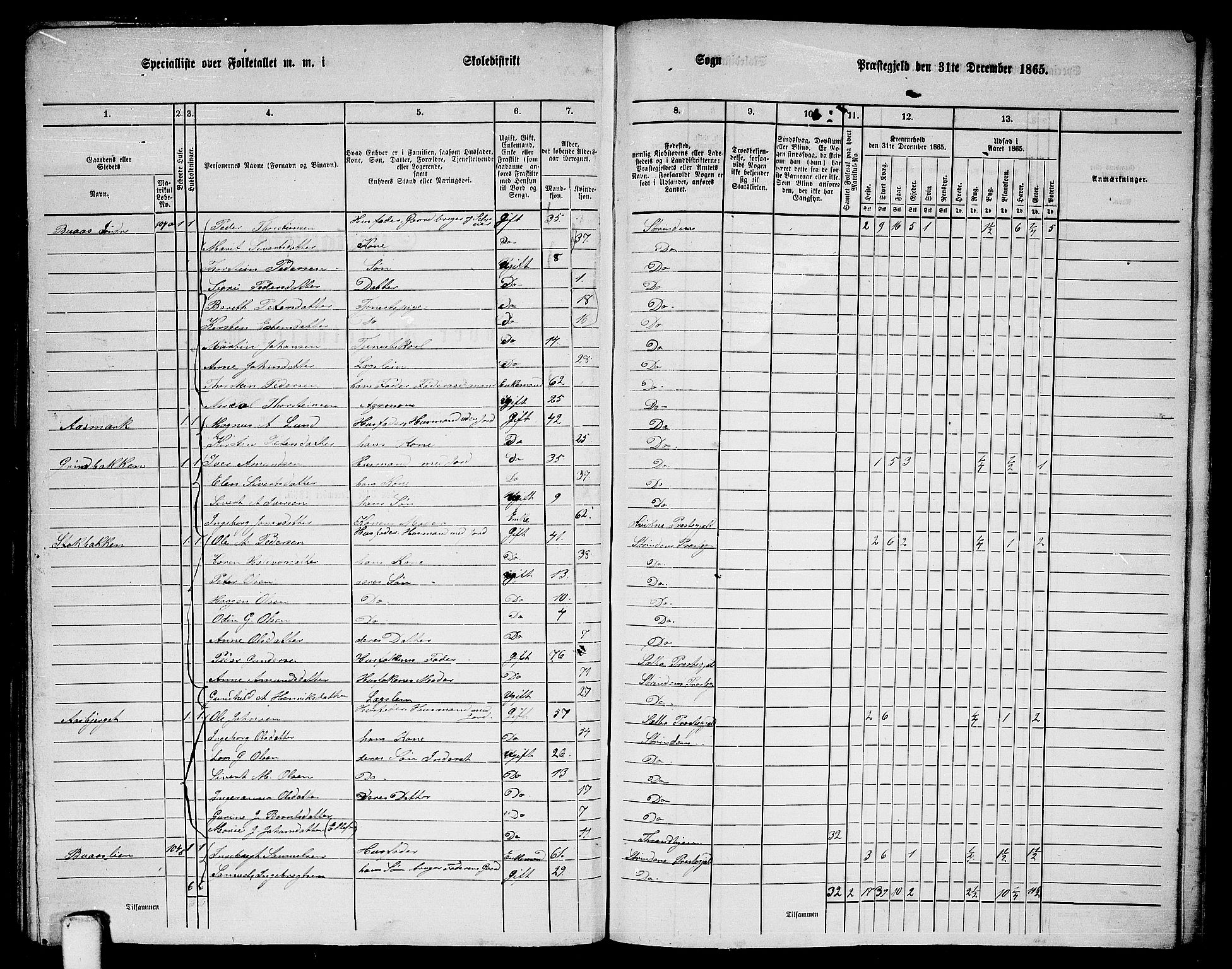 RA, 1865 census for Strinda, 1865, p. 252