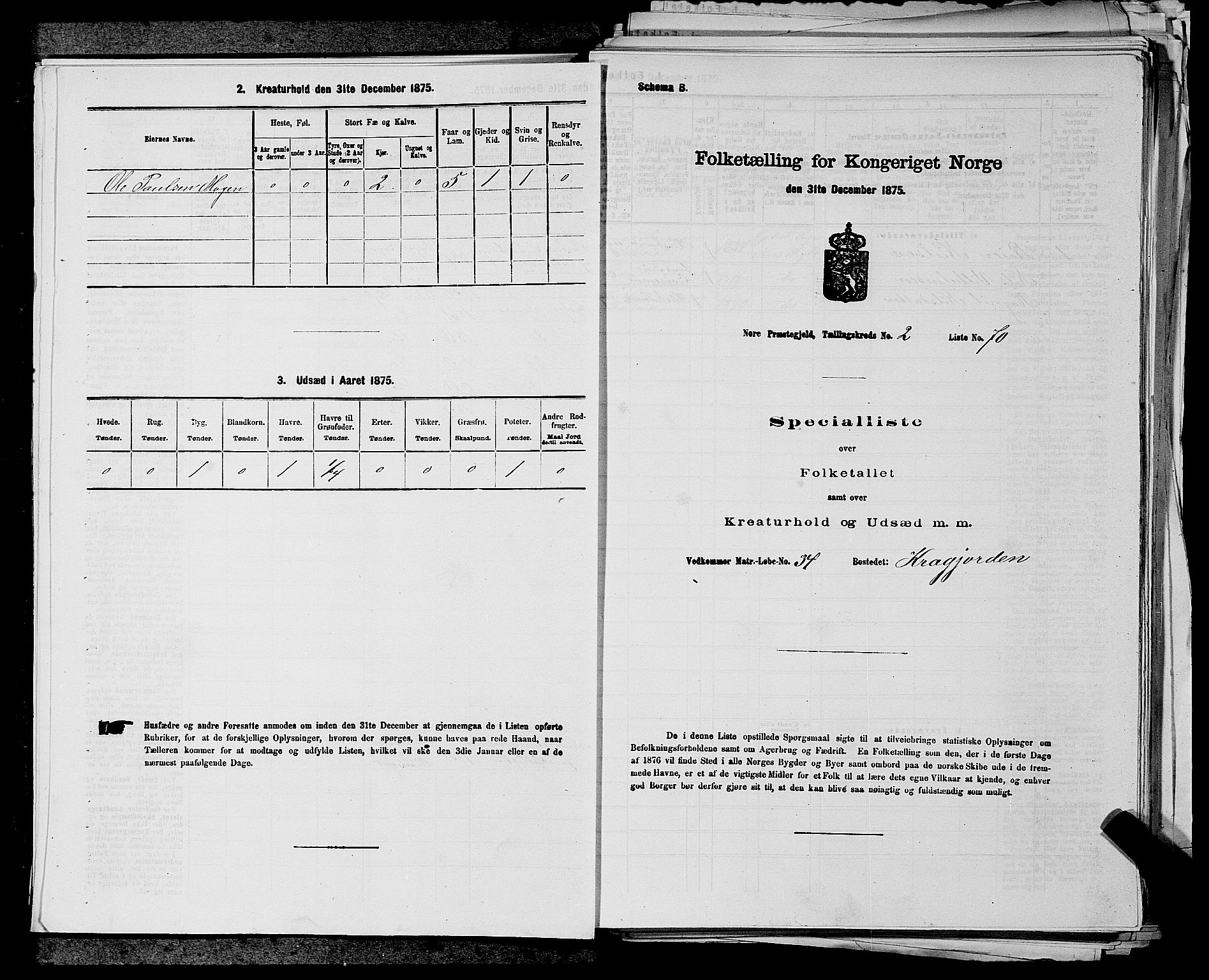 SAKO, 1875 census for 0633P Nore, 1875, p. 187