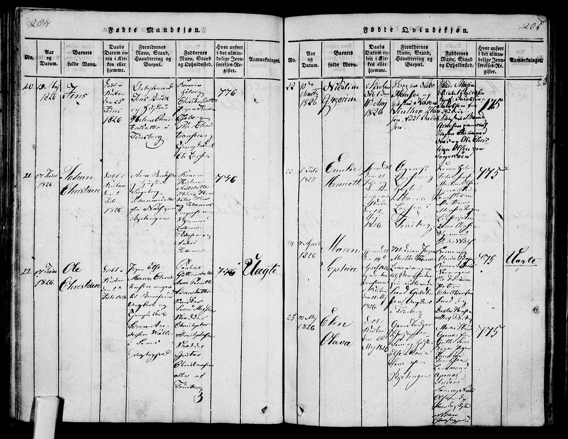 Tønsberg kirkebøker, SAKO/A-330/F/Fa/L0004: Parish register (official) no. I 4, 1813-1826, p. 204-205