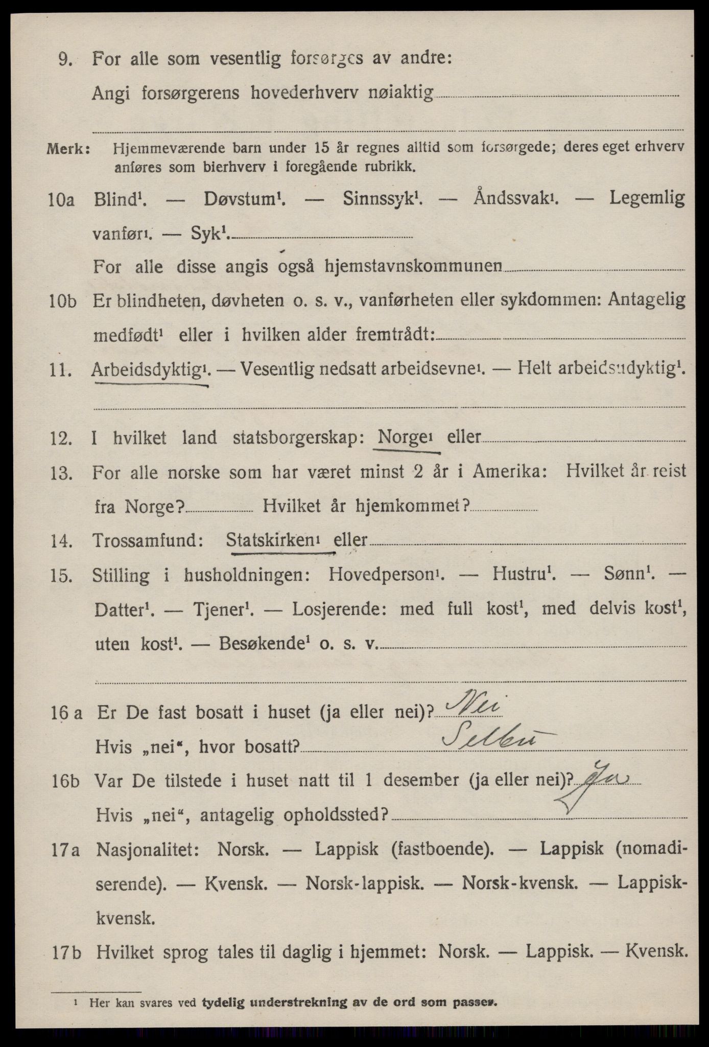 SAT, 1920 census for Selbu, 1920, p. 9865