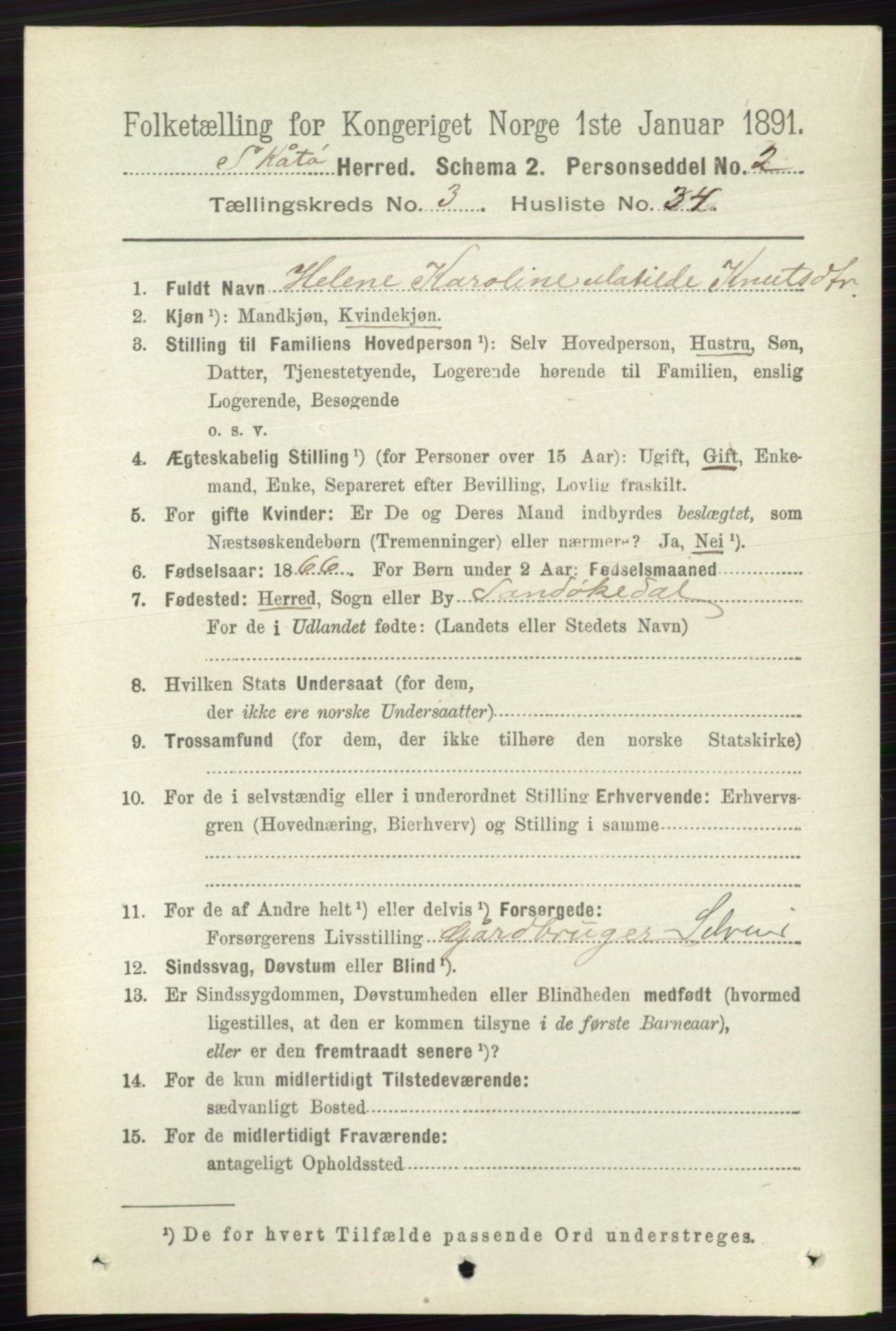 RA, 1891 census for 0815 Skåtøy, 1891, p. 664