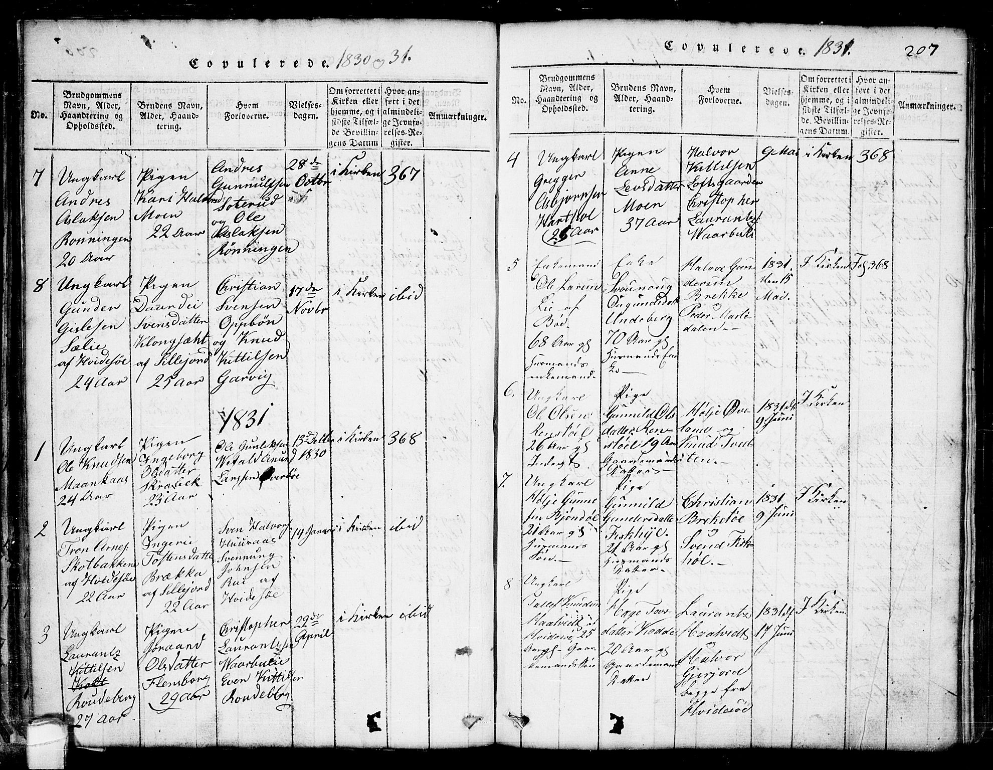 Seljord kirkebøker, AV/SAKO-A-20/G/Ga/L0001: Parish register (copy) no. I 1, 1815-1854, p. 207