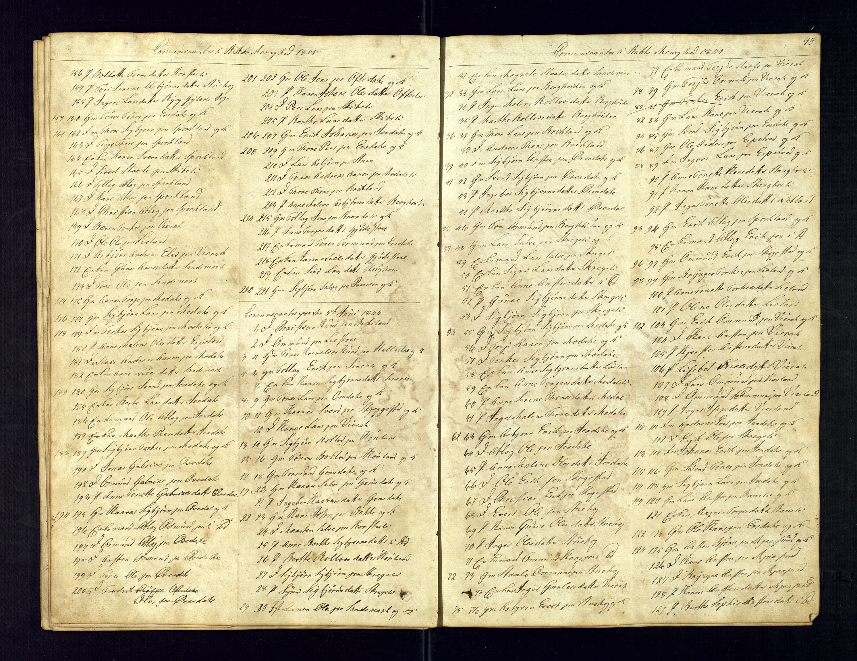 Bakke sokneprestkontor, SAK/1111-0002/F/Fc/Fca/L0004: Communicants register no. C-4, 1838-1861, p. 45