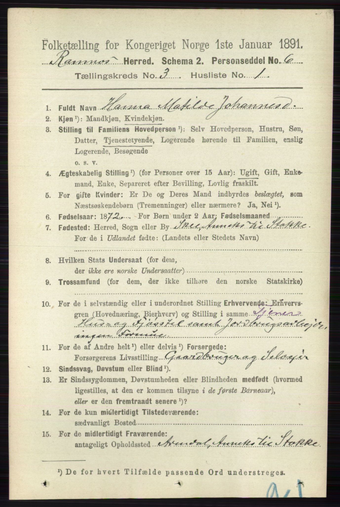 RA, 1891 census for 0718 Ramnes, 1891, p. 1306