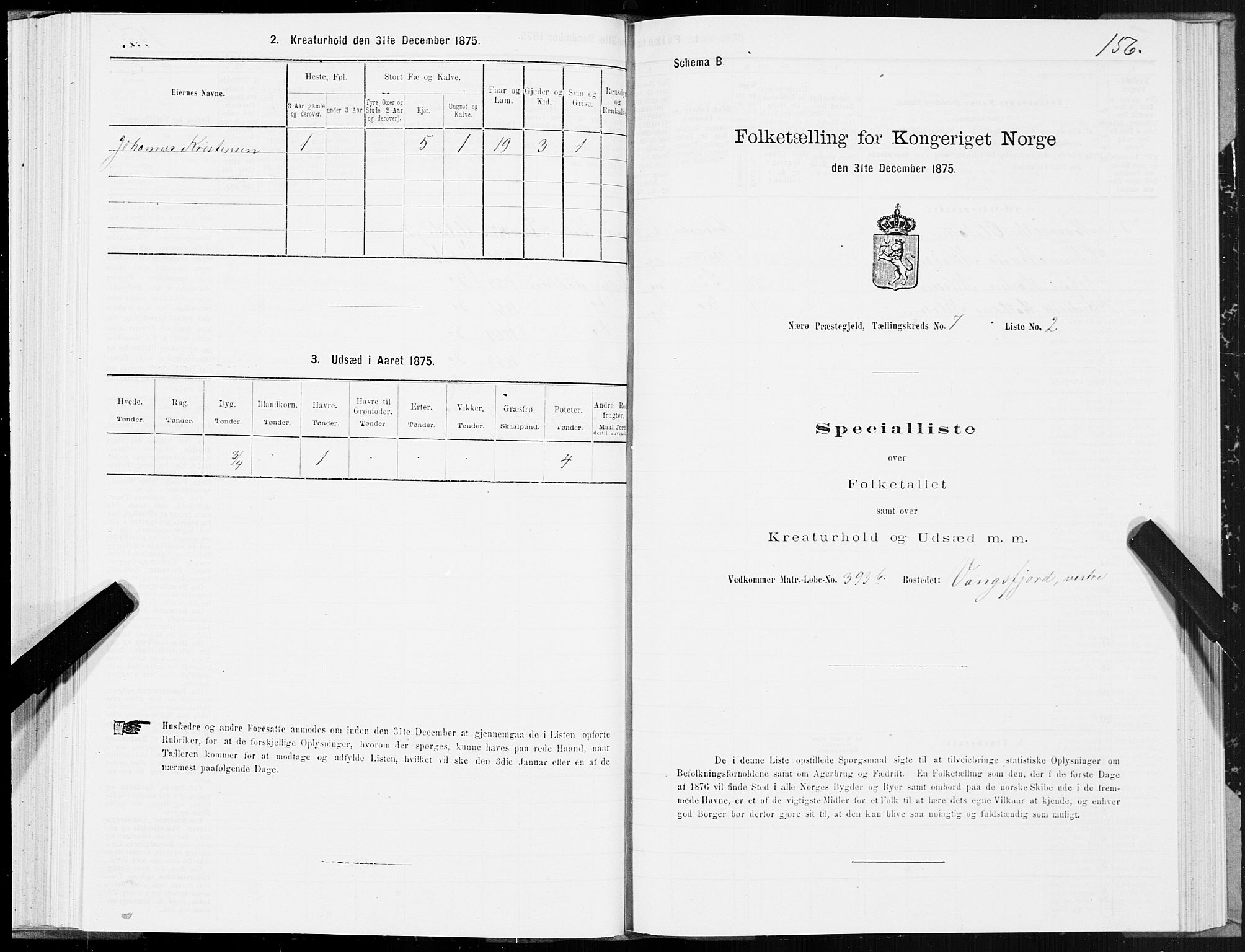 SAT, 1875 census for 1751P Nærøy, 1875, p. 3156