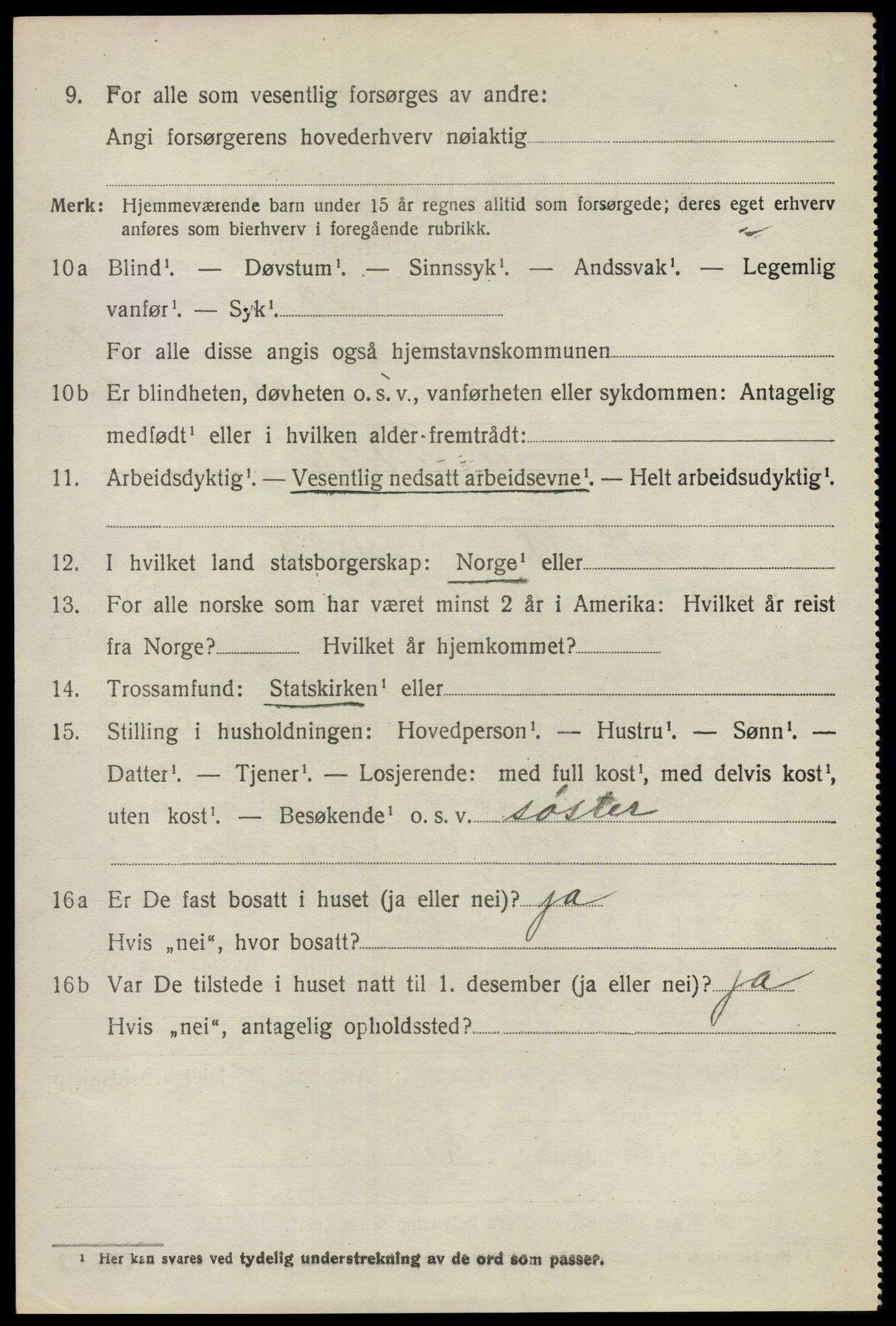 SAO, 1920 census for Nes, 1920, p. 19097