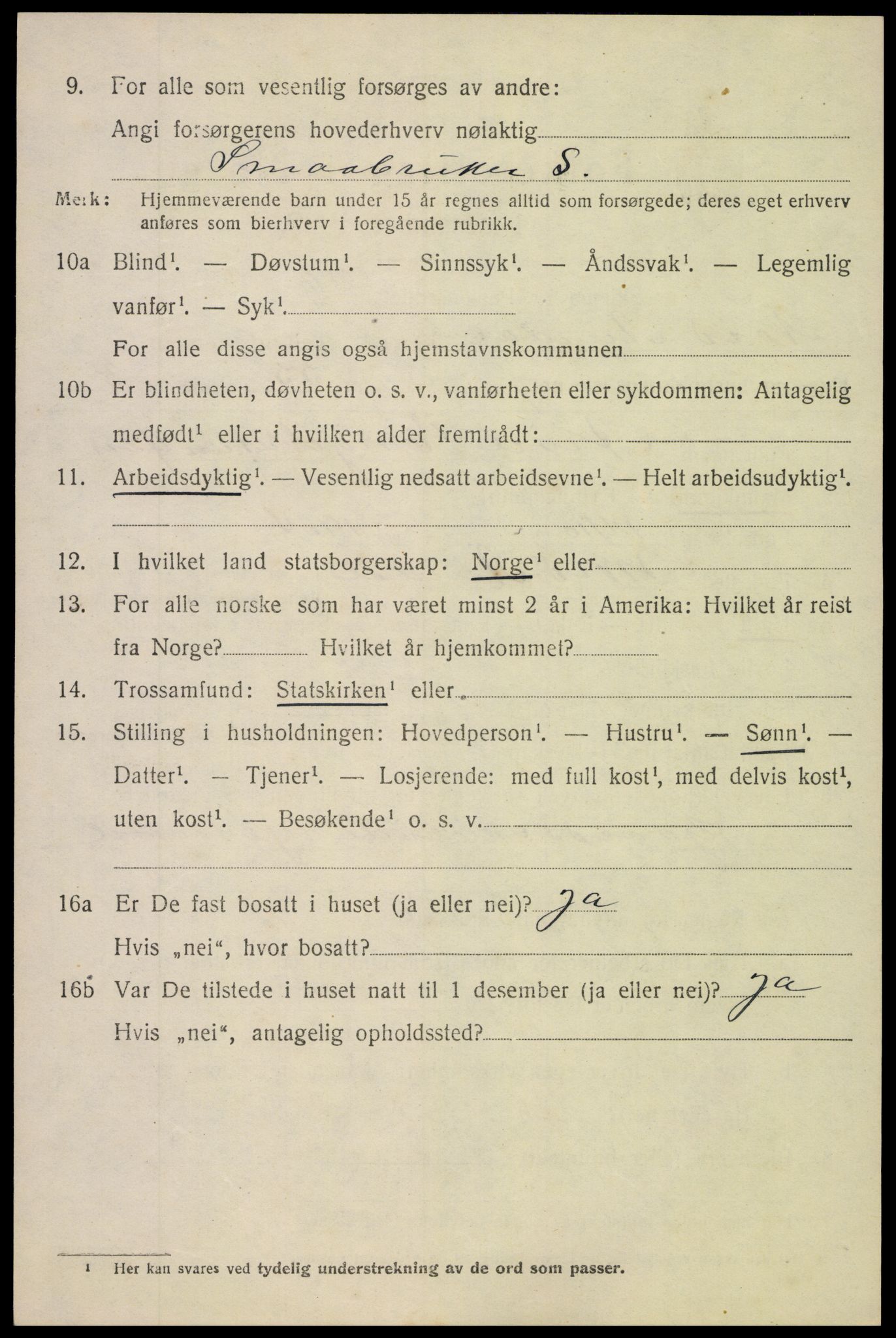 SAH, 1920 census for Nord-Aurdal, 1920, p. 6655