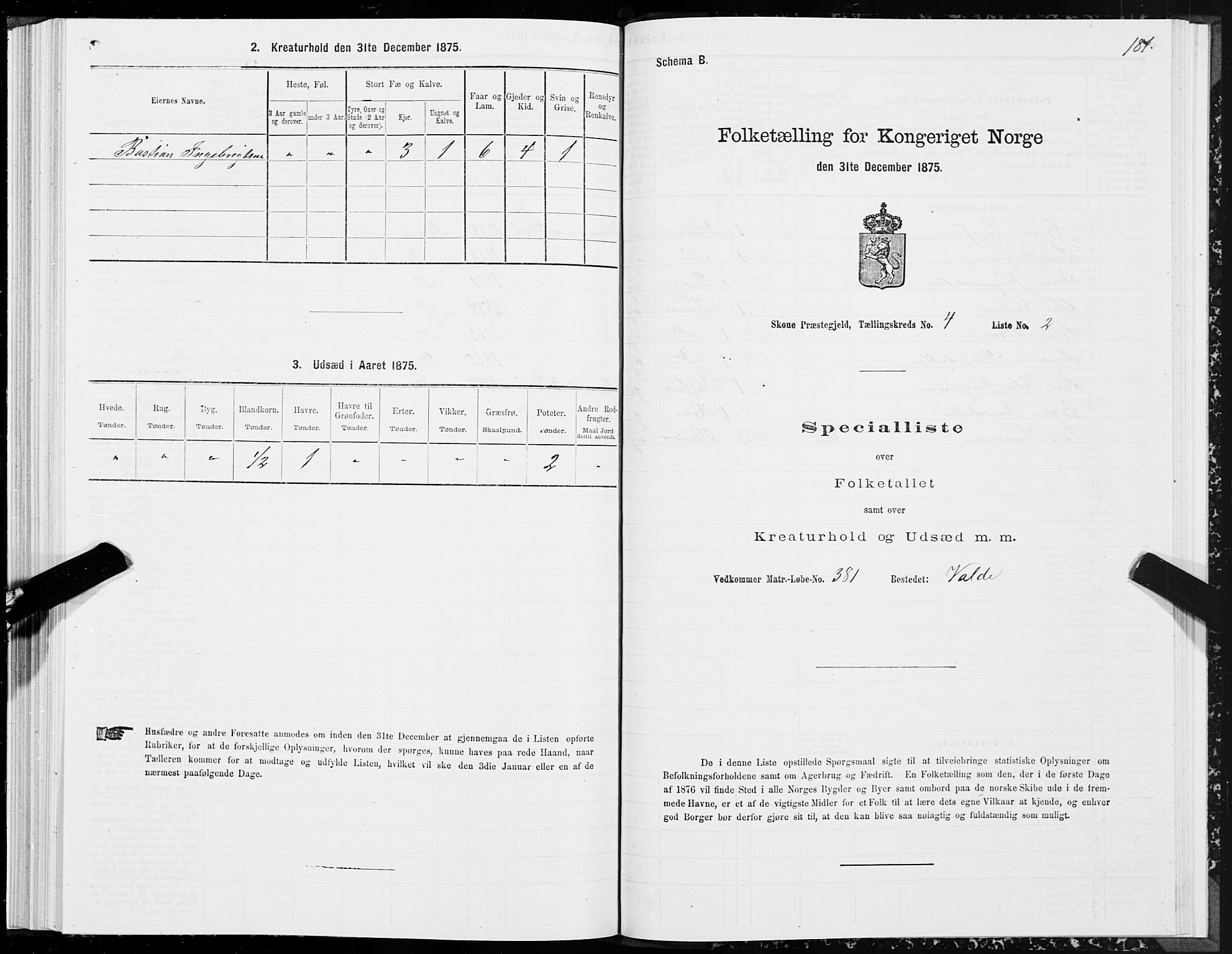 SAT, 1875 census for 1529P Skodje, 1875, p. 1181