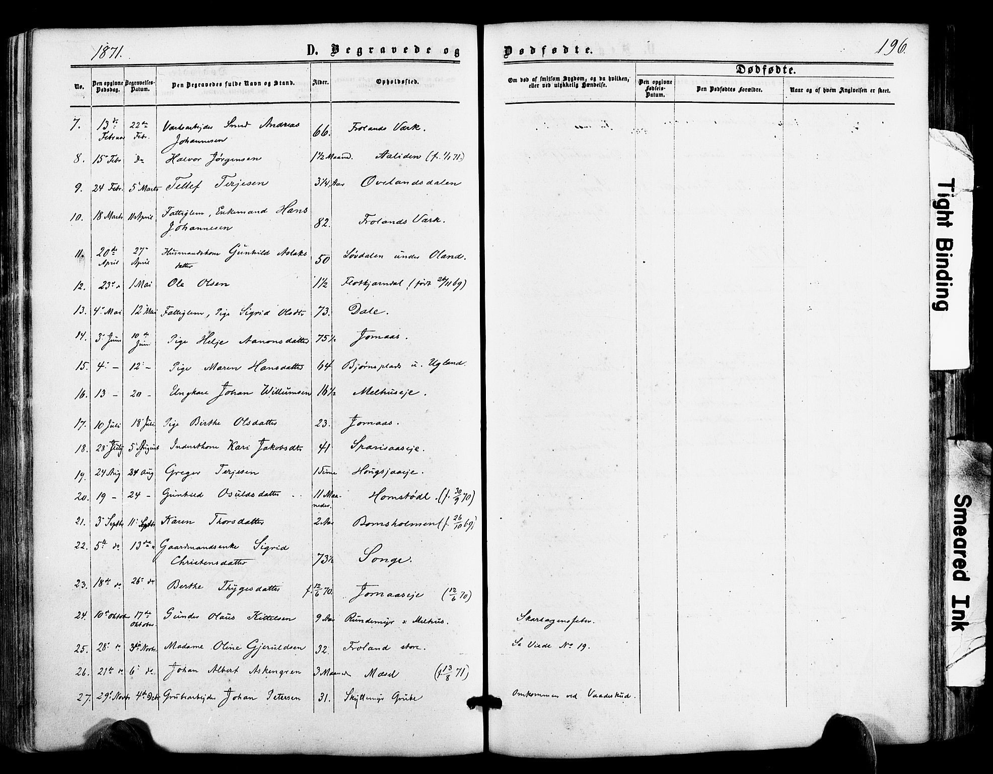 Froland sokneprestkontor, SAK/1111-0013/F/Fa/L0003: Parish register (official) no. A 3, 1864-1881, p. 196