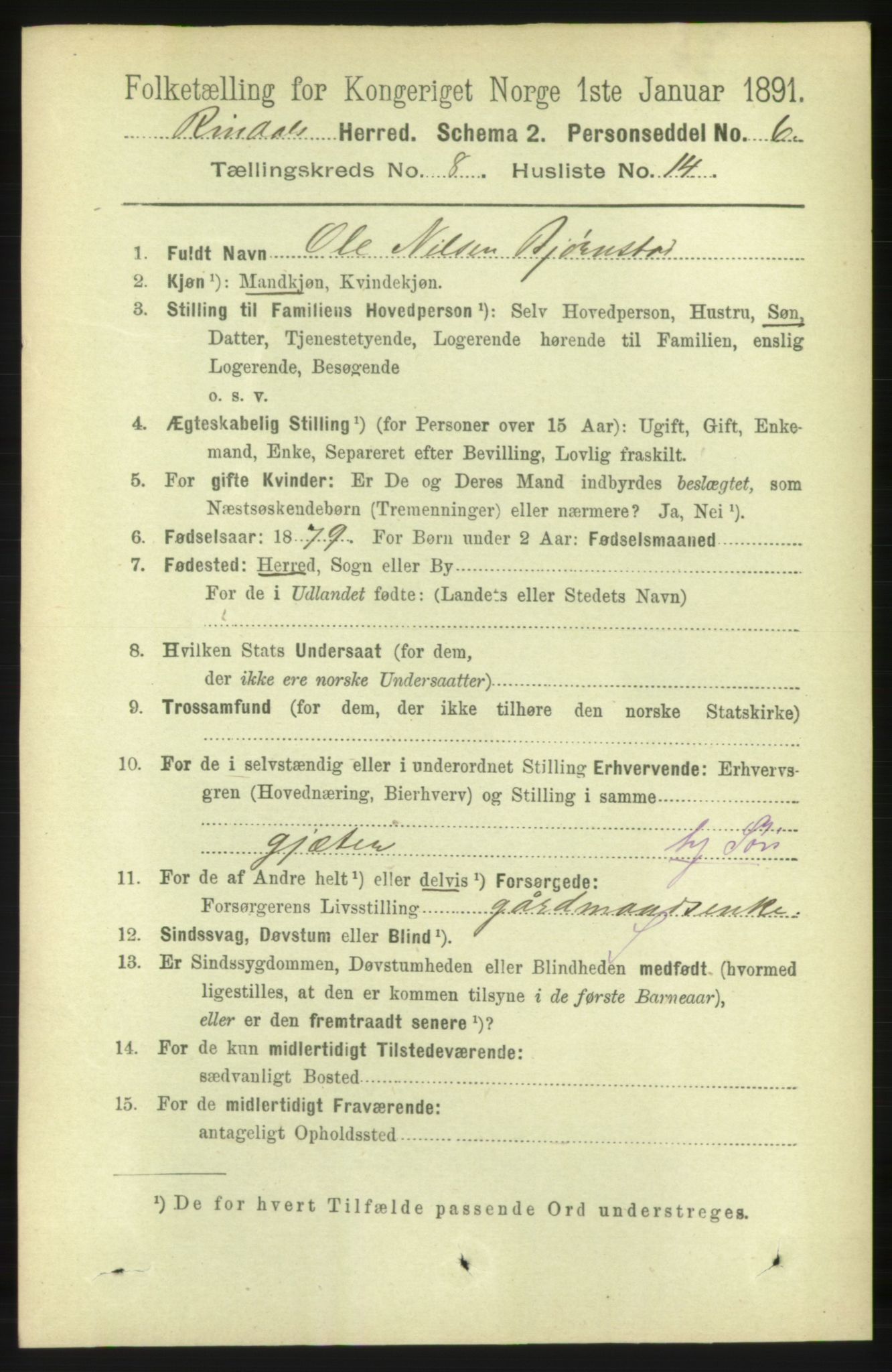 RA, 1891 census for 1567 Rindal, 1891, p. 2575