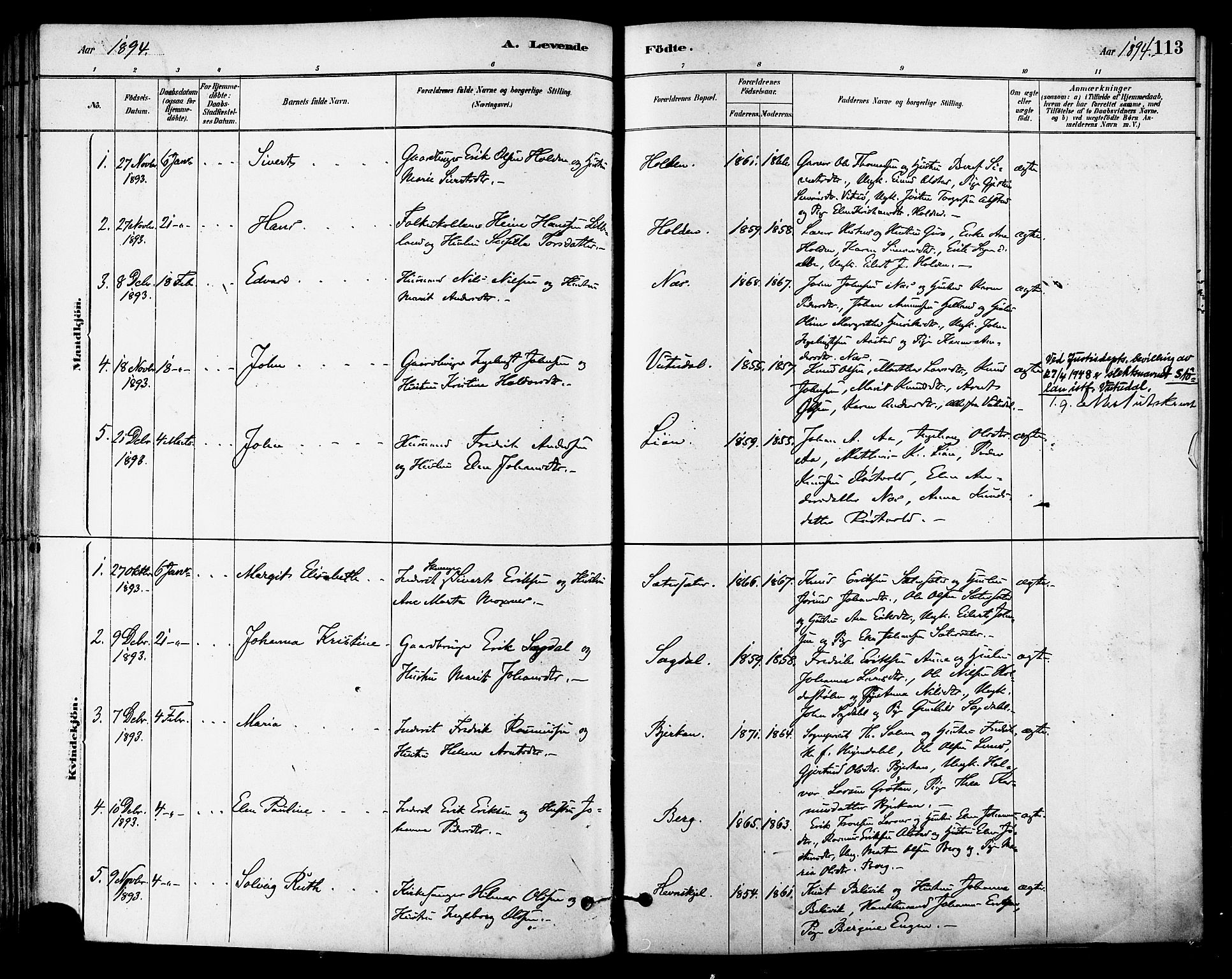Ministerialprotokoller, klokkerbøker og fødselsregistre - Sør-Trøndelag, SAT/A-1456/630/L0496: Parish register (official) no. 630A09, 1879-1895, p. 113