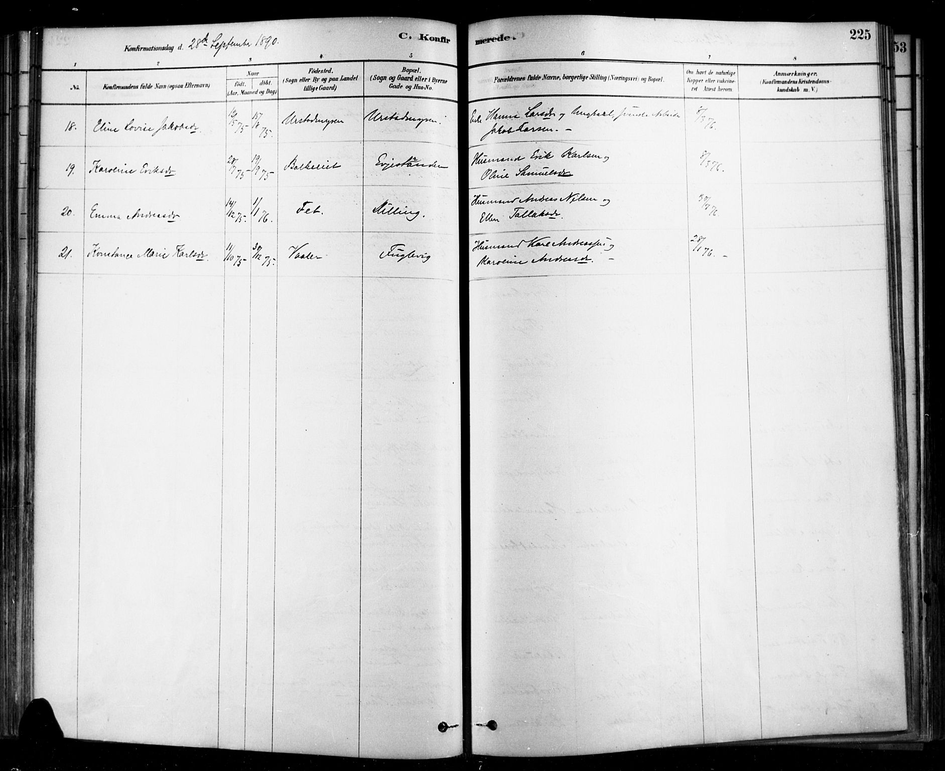 Rygge prestekontor Kirkebøker, SAO/A-10084b/F/Fa/L0007: Parish register (official) no. 7, 1878-1904, p. 225